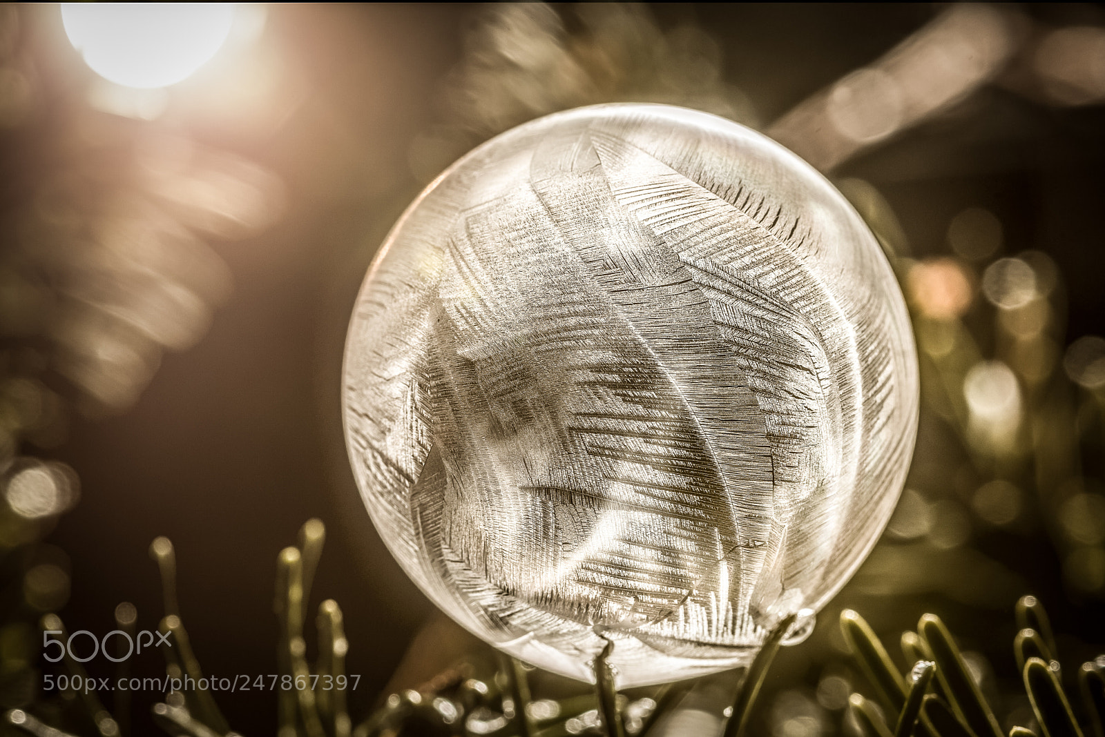 Nikon D800 sample photo. Structured ice bubble photography