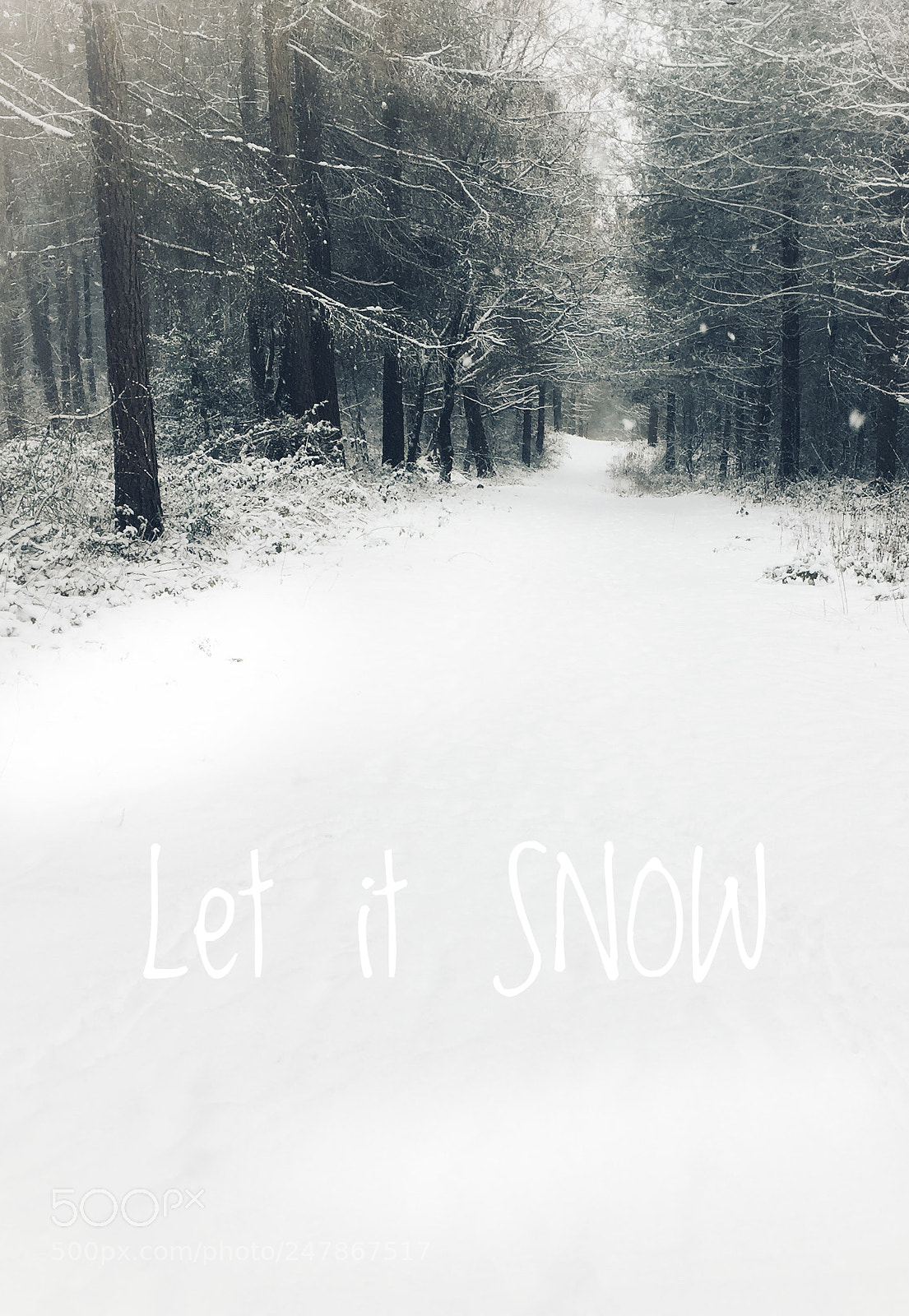 Apple iPhone 6 sample photo. Let it snow photography