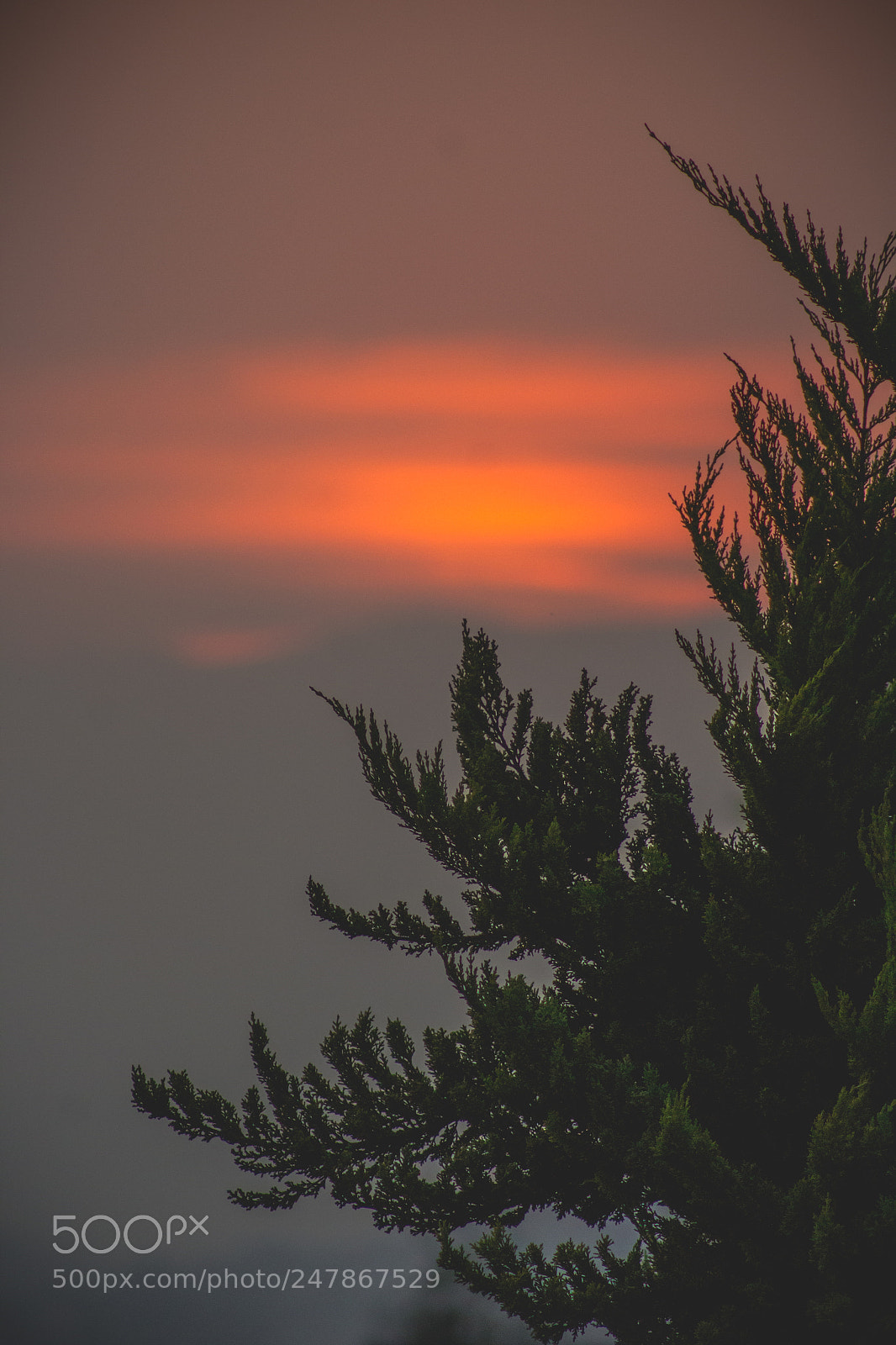 Canon EOS 1200D (EOS Rebel T5 / EOS Kiss X70 / EOS Hi) sample photo. This sunset... ?? photography