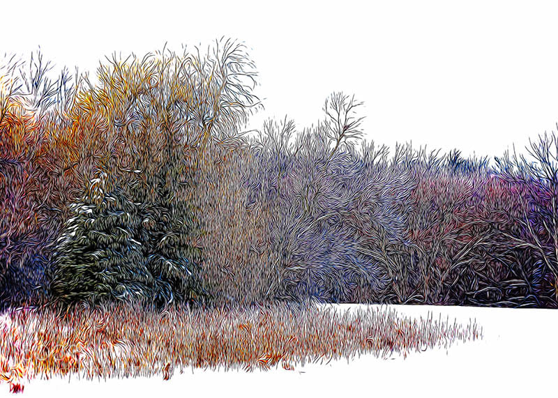 Olympus OM-D E-M1 sample photo. Abstract winter forest photography