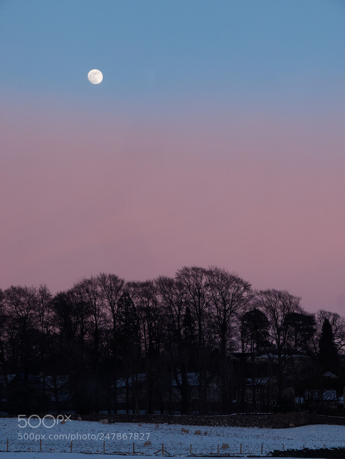 Panasonic Lumix DMC-G85 (Lumix DMC-G80) sample photo. Pretty winter sky photography