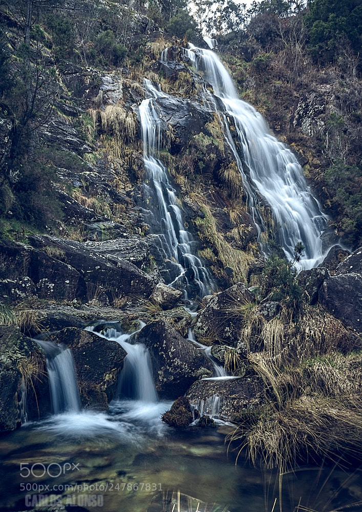 Sony a7 II sample photo. Cardanoxo photography