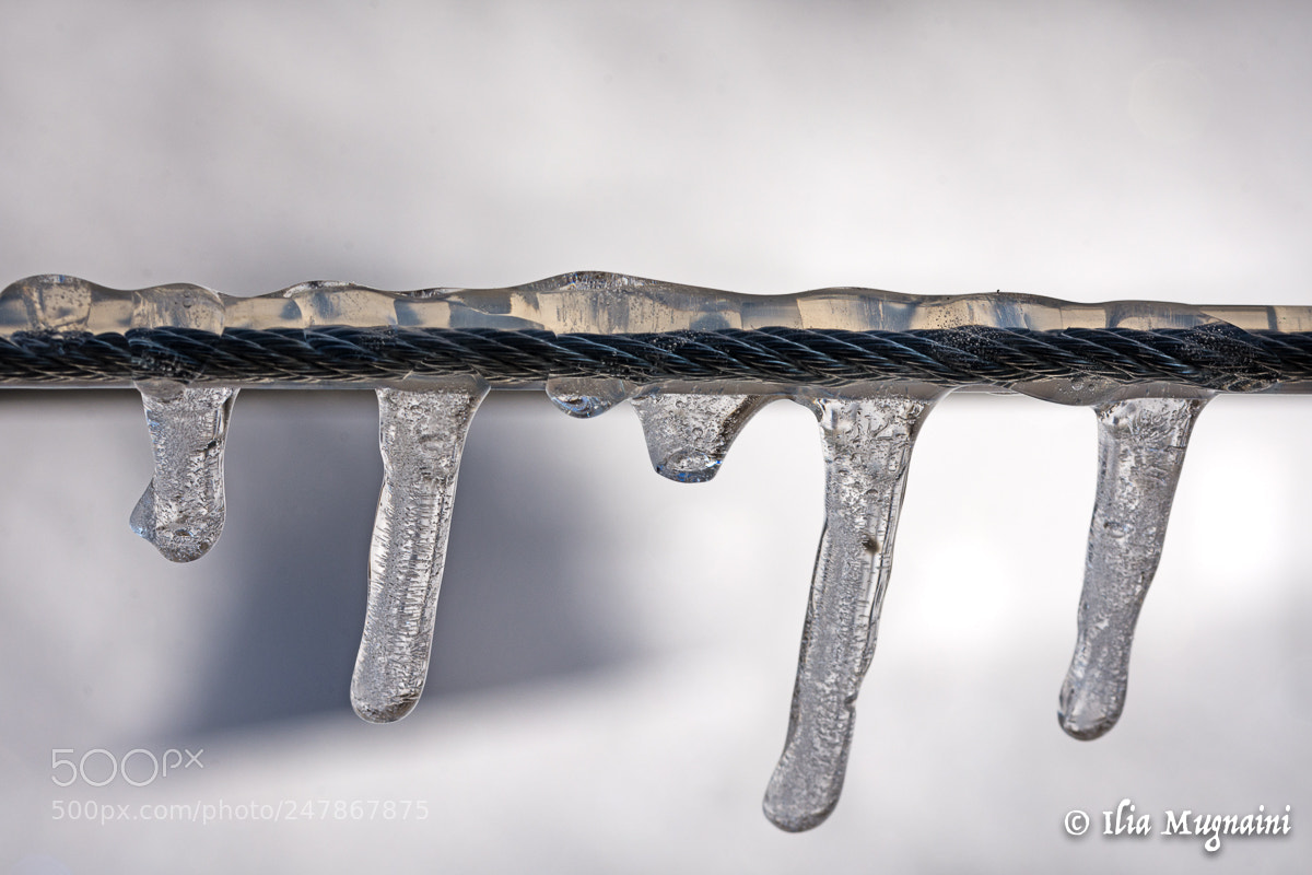 Nikon D7200 sample photo. Iced drops photography