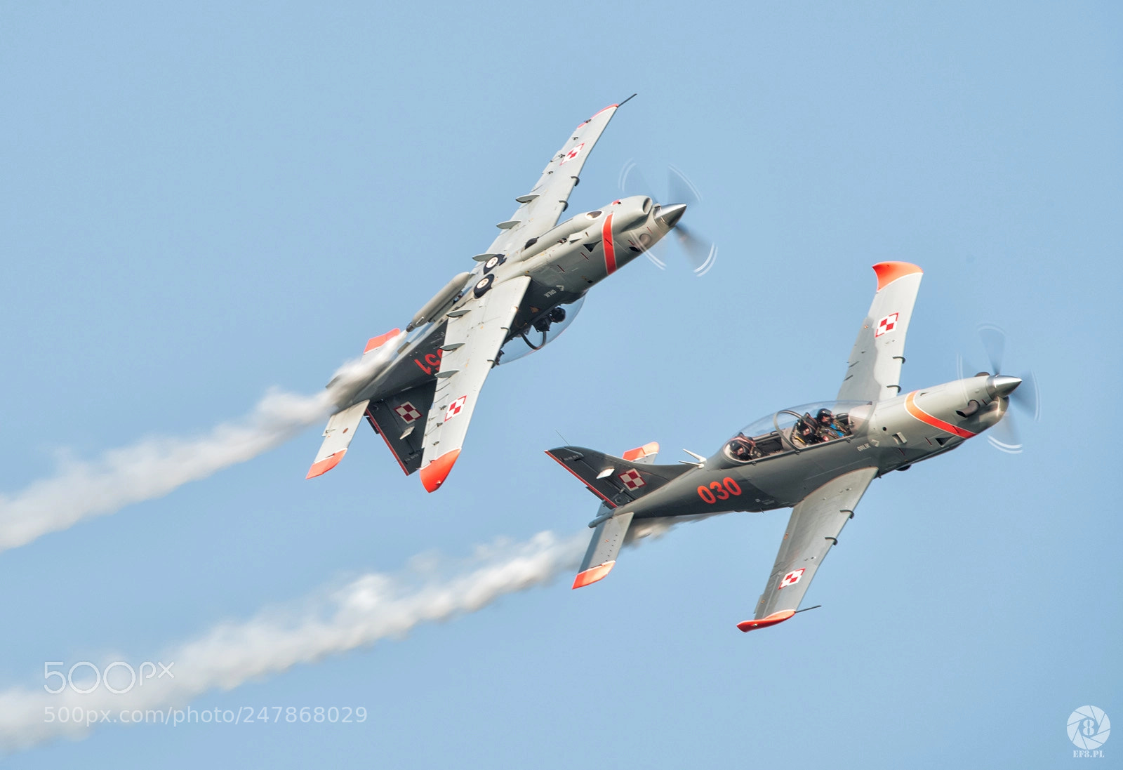 Nikon D810 sample photo. Pzl-130 orlik photography