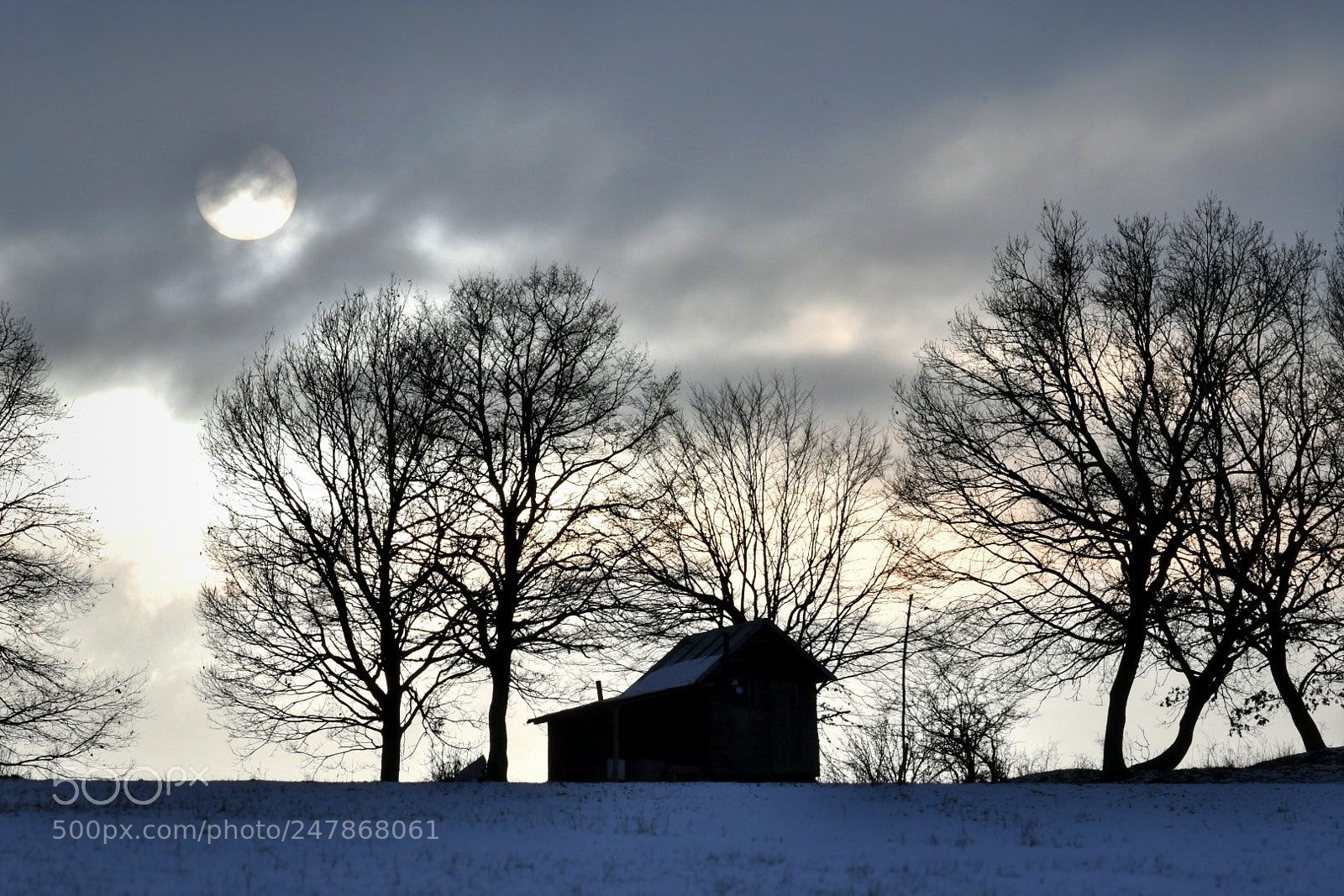 Nikon D500 sample photo. Untitled photography