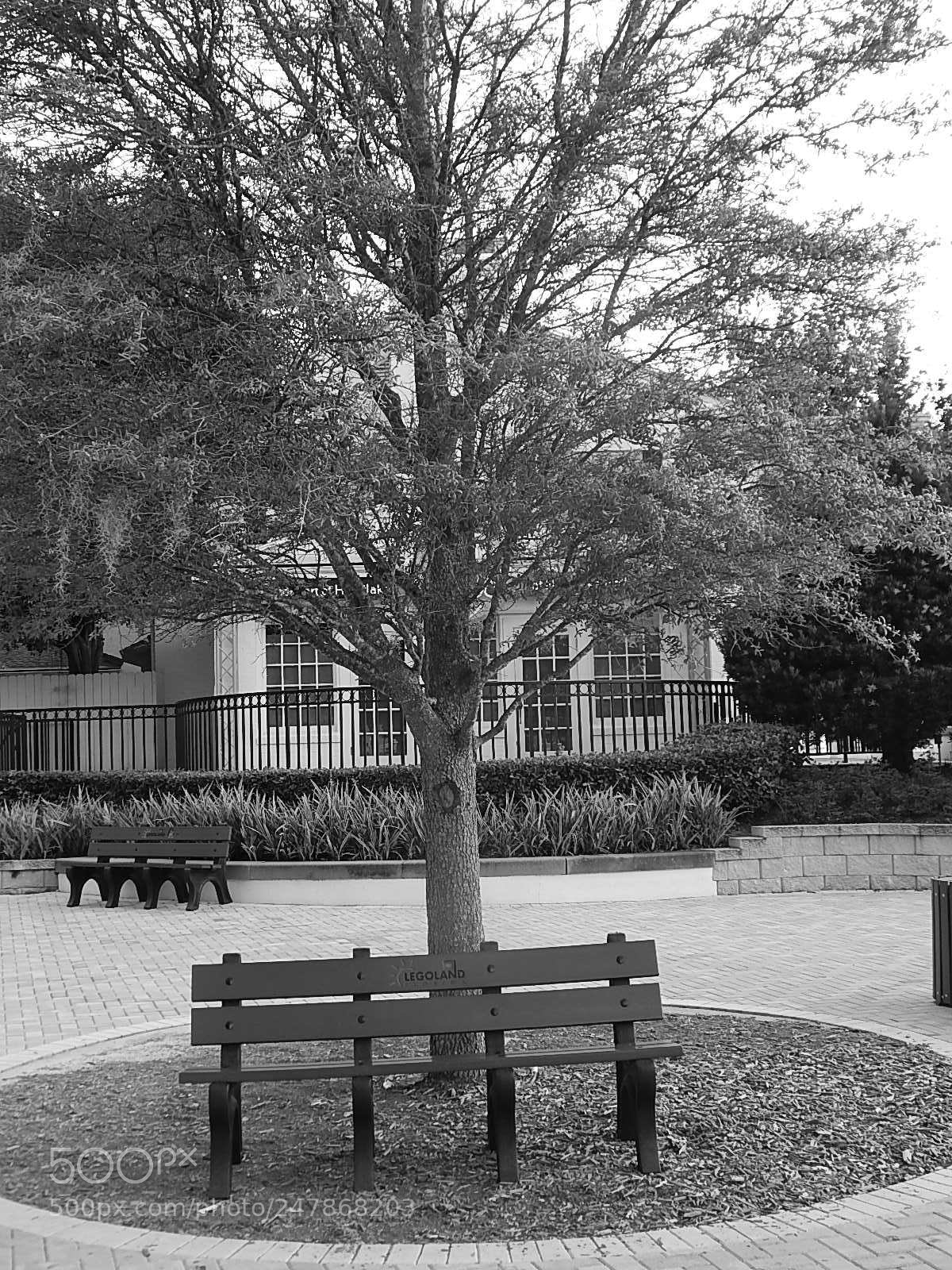 Nikon Coolpix L820 sample photo. Dscn photography
