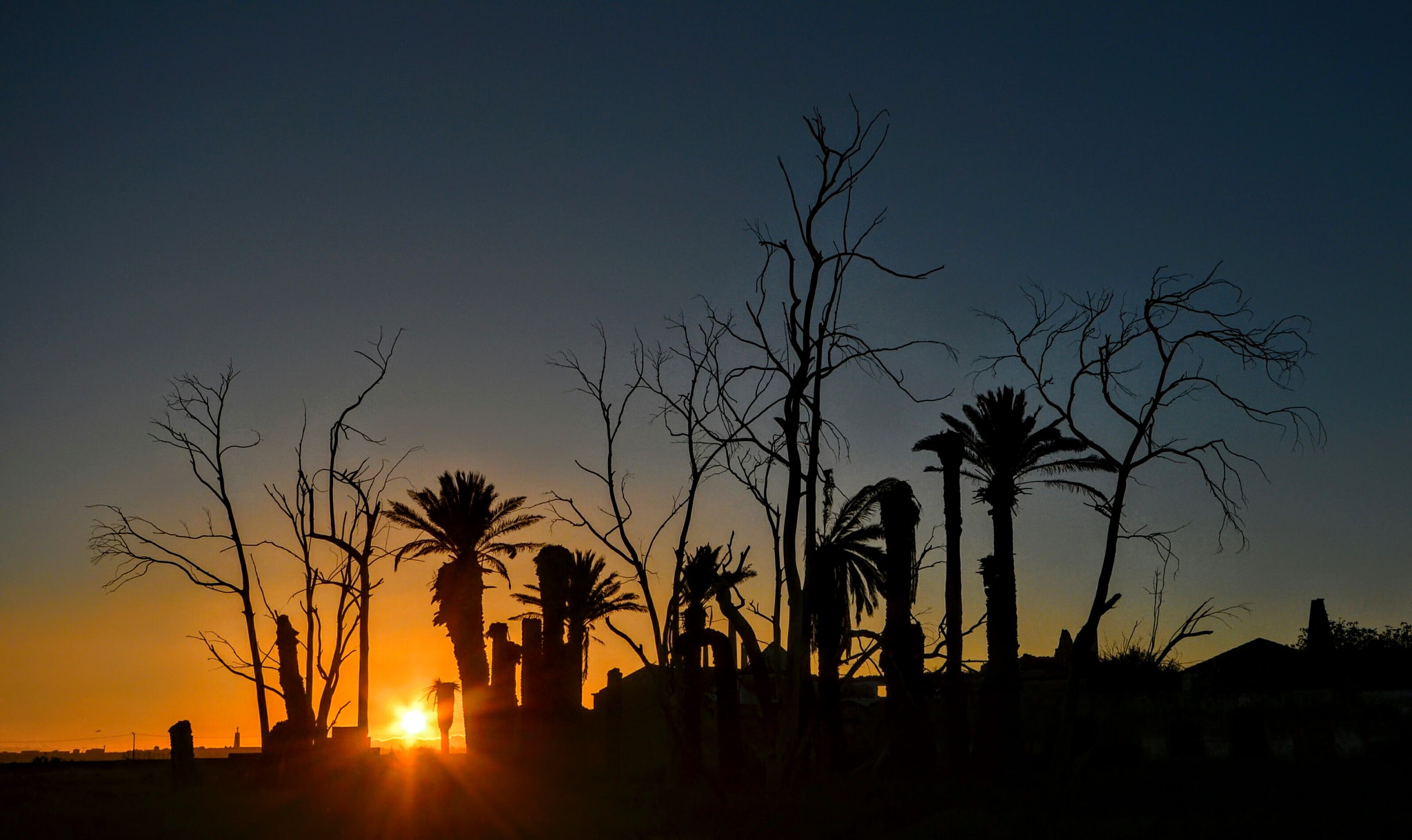 Sigma 10-20mm F4-5.6 EX DC HSM sample photo. Sunset in the forest! photography