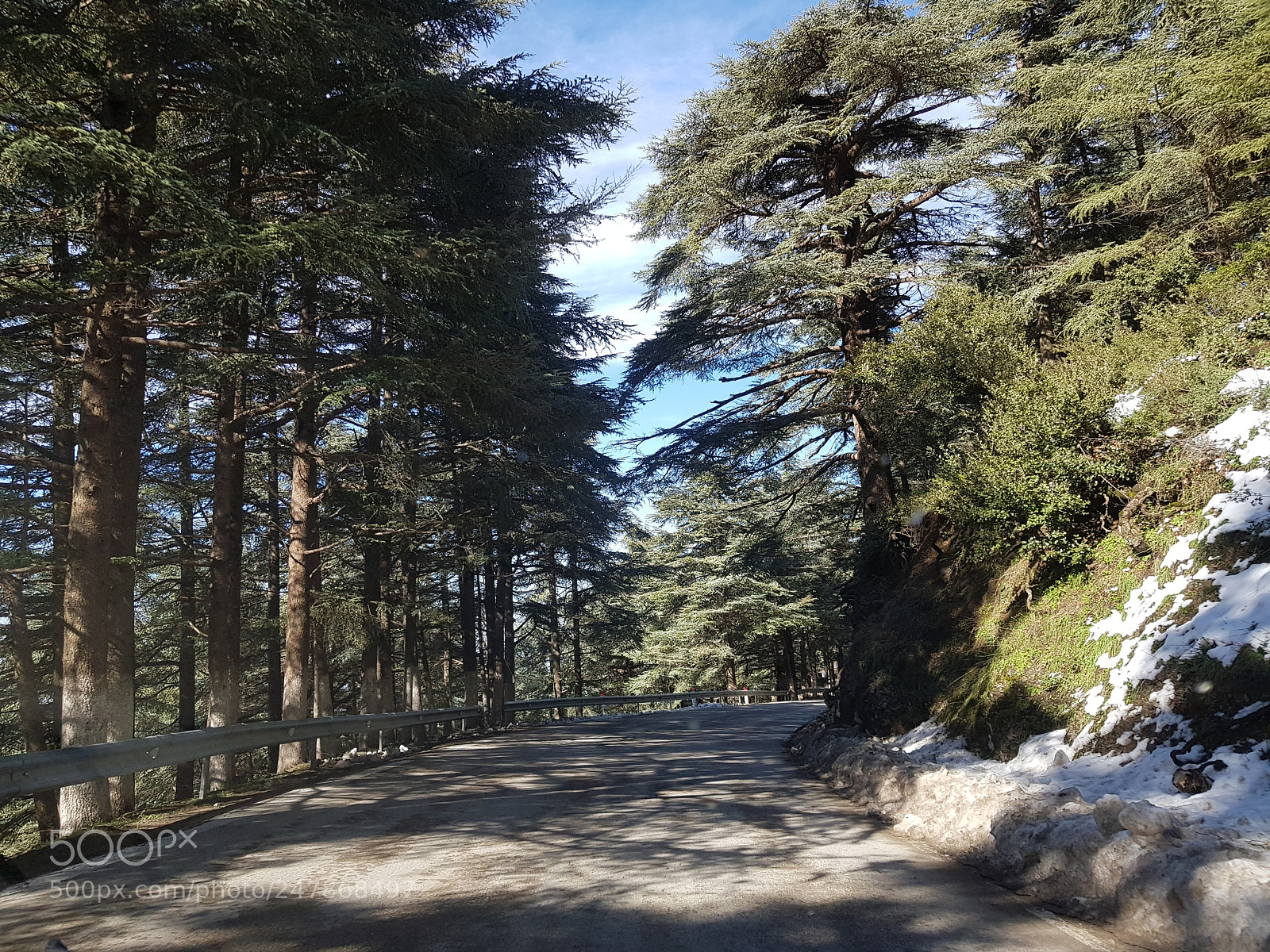 Samsung Galaxy S8+ sample photo. Untitled photography