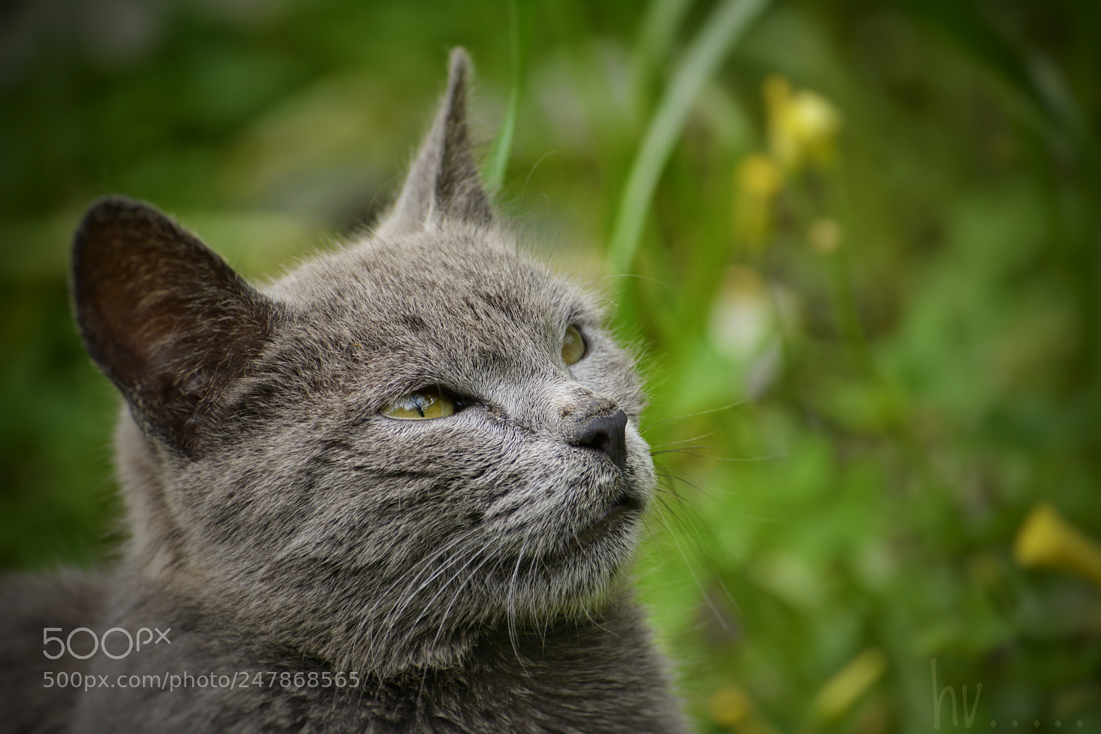 Nikon D7100 sample photo. Coming back photography