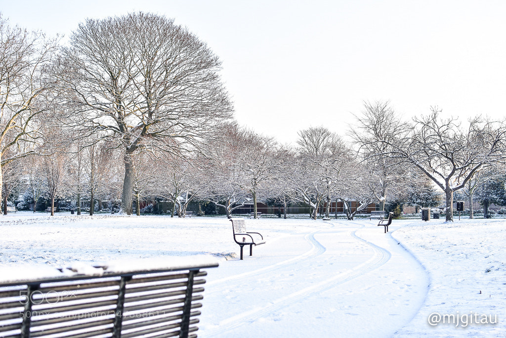 Nikon D7200 sample photo. Freezing london photography