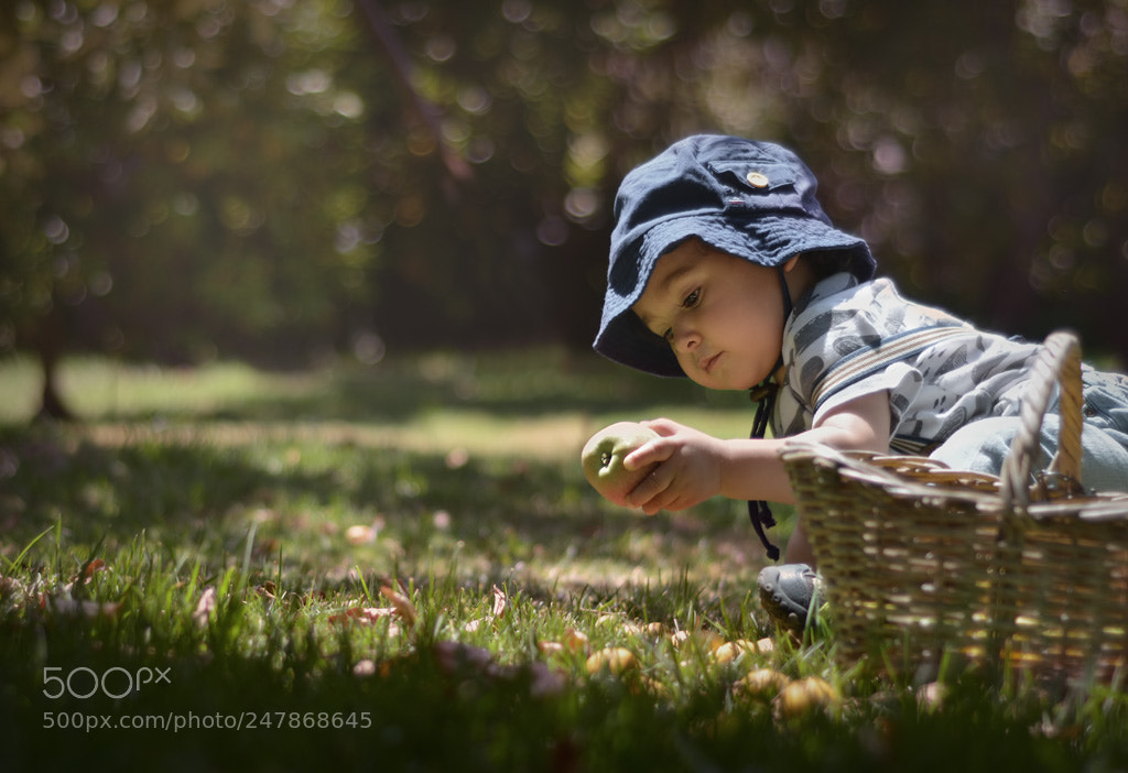 Nikon D7100 sample photo. Manzana i photography