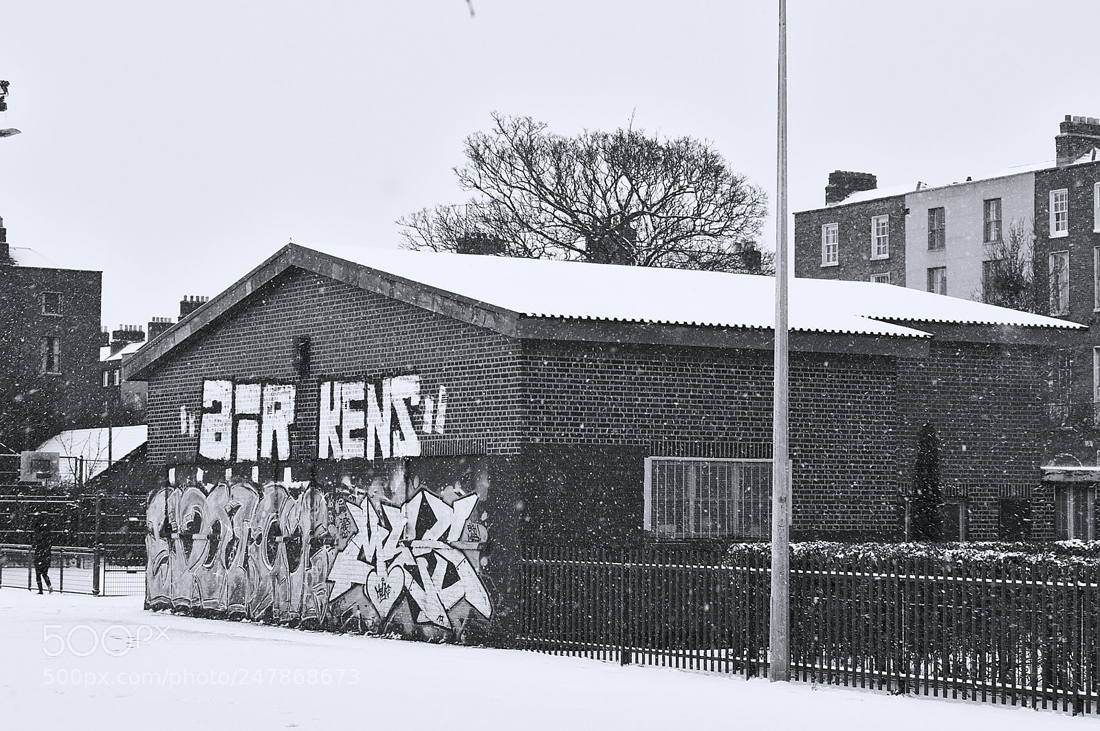 Pentax K-r sample photo. Snow day march 1 photography