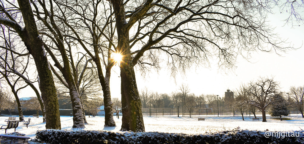 Nikon D7200 sample photo. Freezing london photography