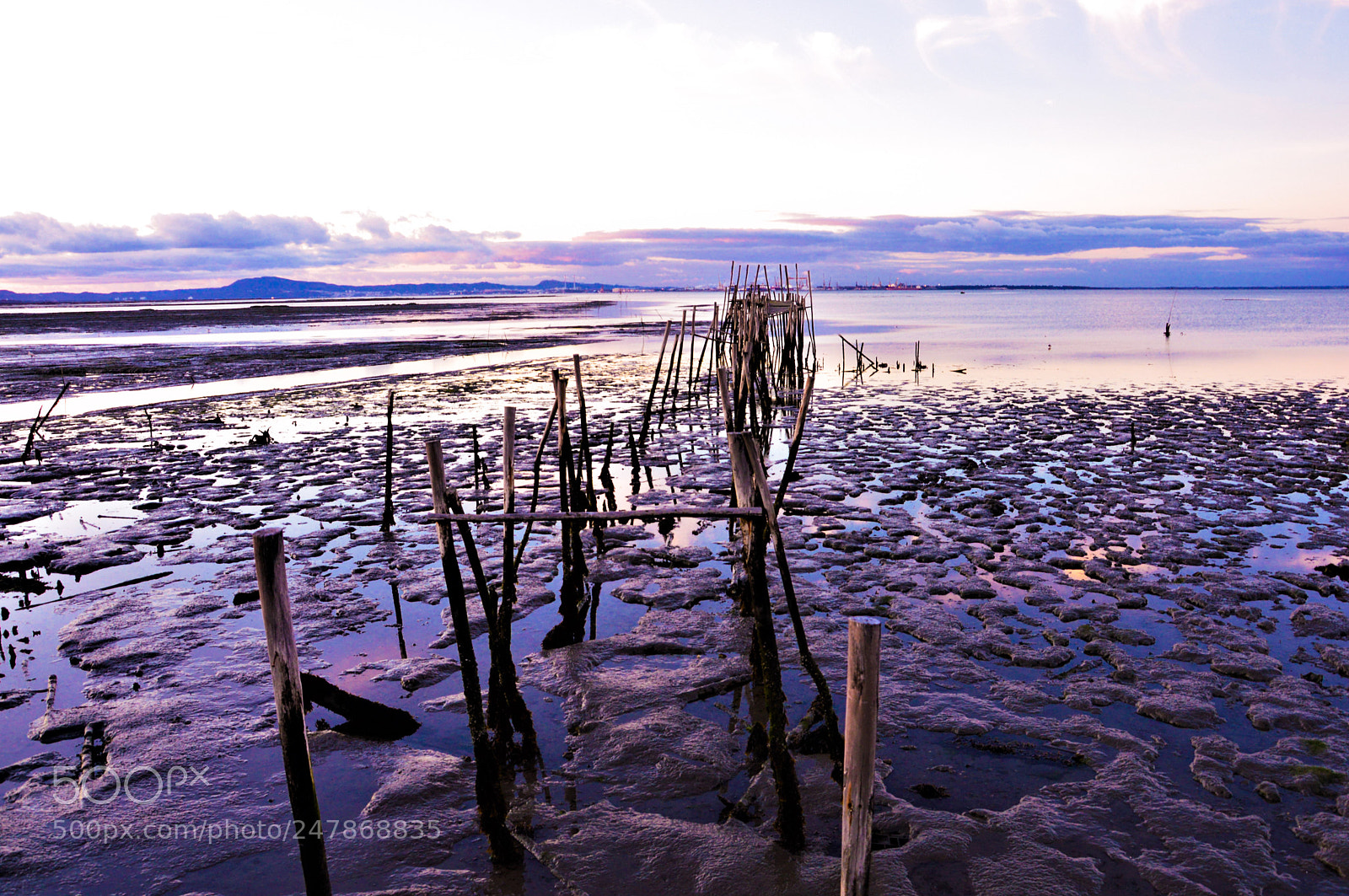 Nikon D3200 sample photo. Carrasqueira photography