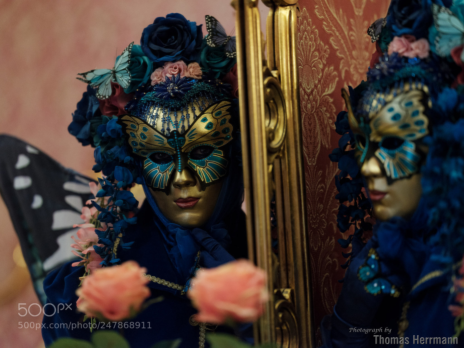Fujifilm GFX 50S sample photo. C thomas herrmann photography