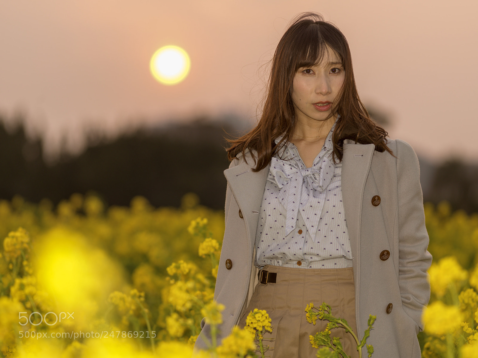 Hasselblad X1D-50c sample photo. With the sunset back photography