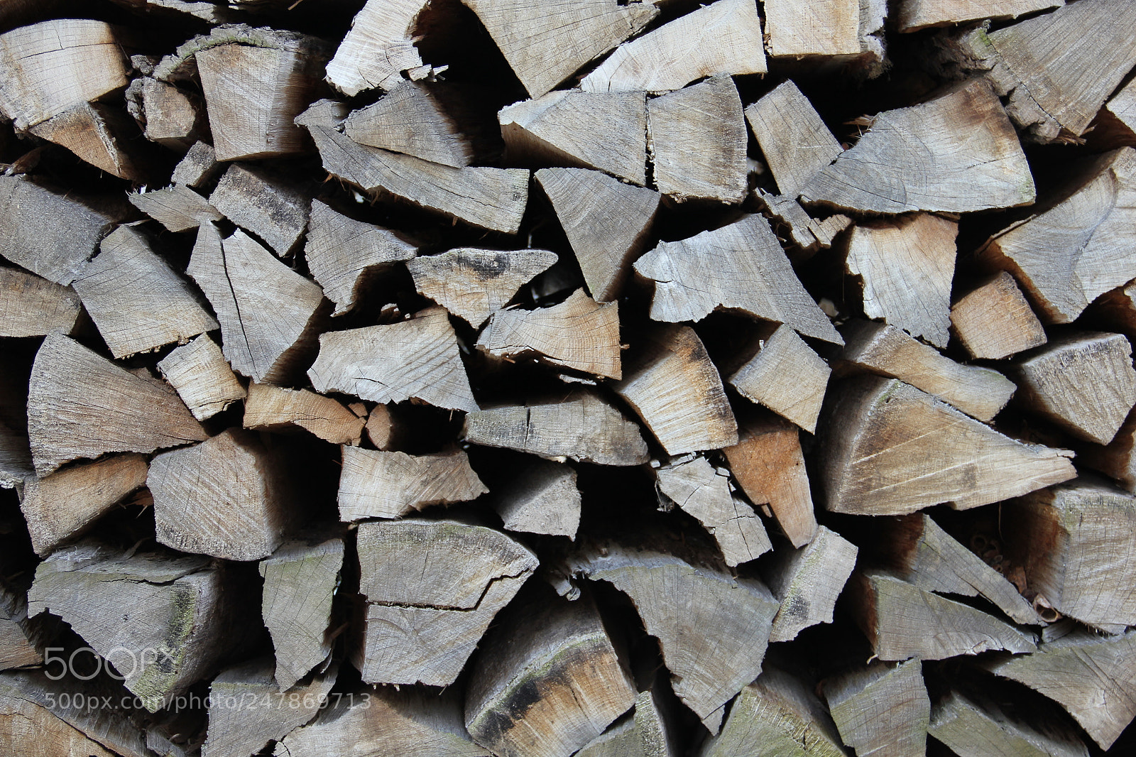 Canon EOS 550D (EOS Rebel T2i / EOS Kiss X4) sample photo. Woodpile photography