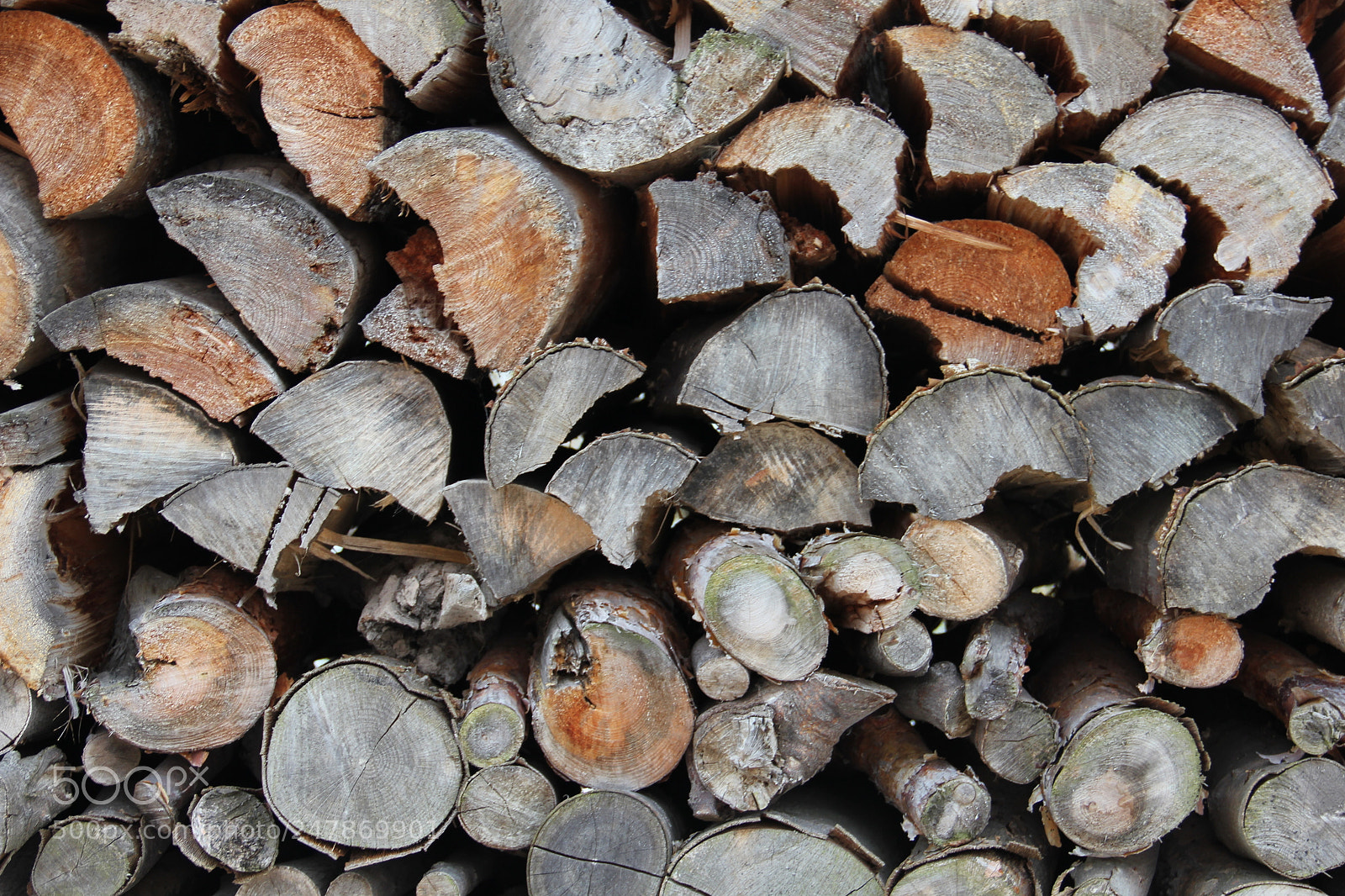 Canon EOS 550D (EOS Rebel T2i / EOS Kiss X4) sample photo. Woodpile i photography