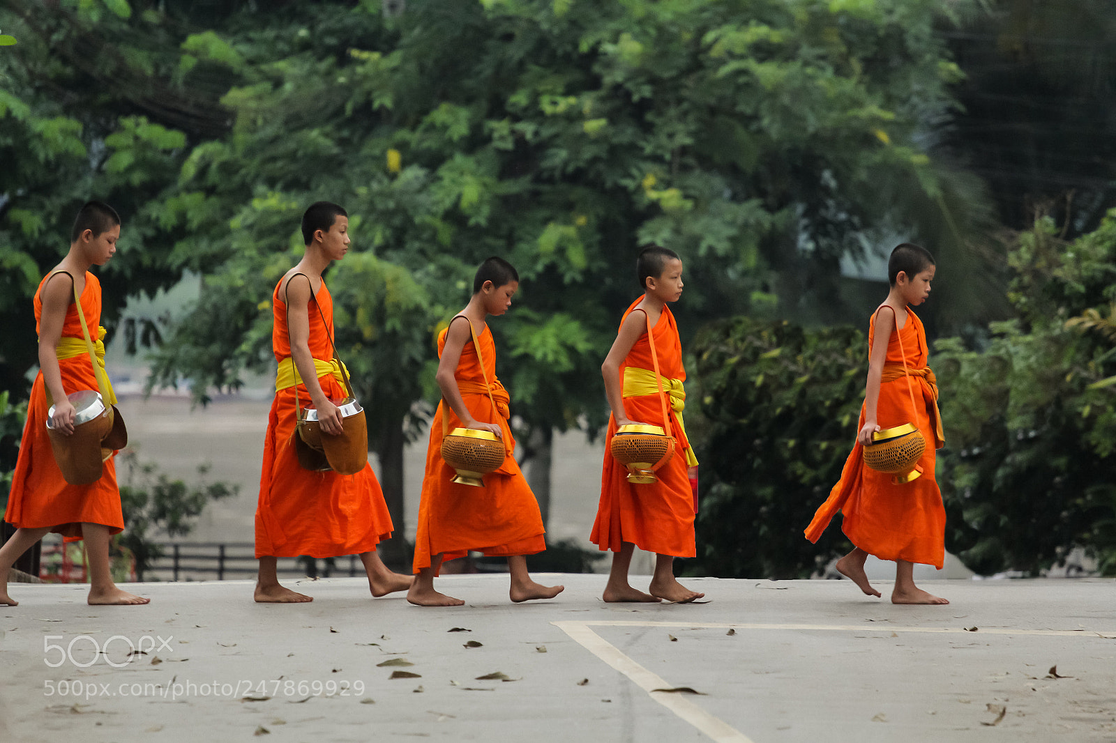 Canon EOS 60D sample photo. Morning duties (iii) photography