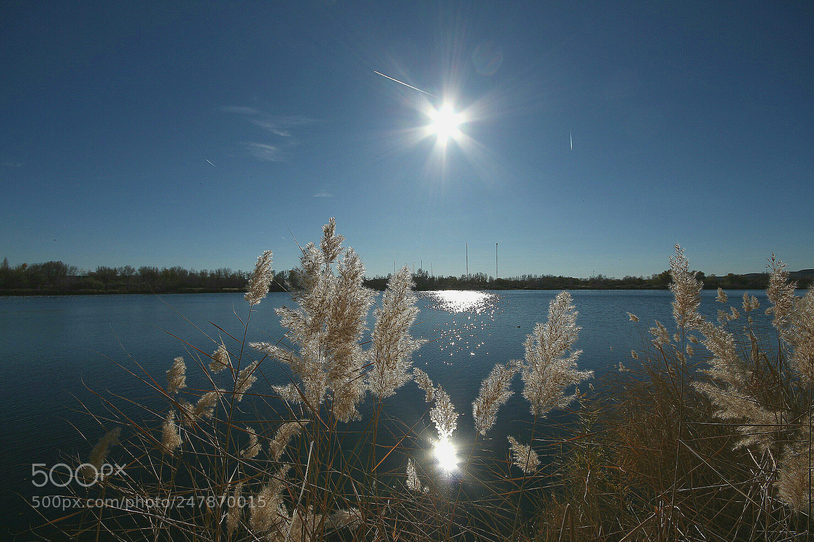 Canon EOS 700D (EOS Rebel T5i / EOS Kiss X7i) sample photo. Reflejos del sol. photography