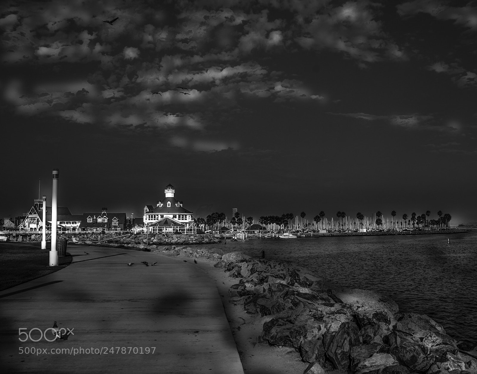 Canon EOS 20D sample photo. San pedro marina photography