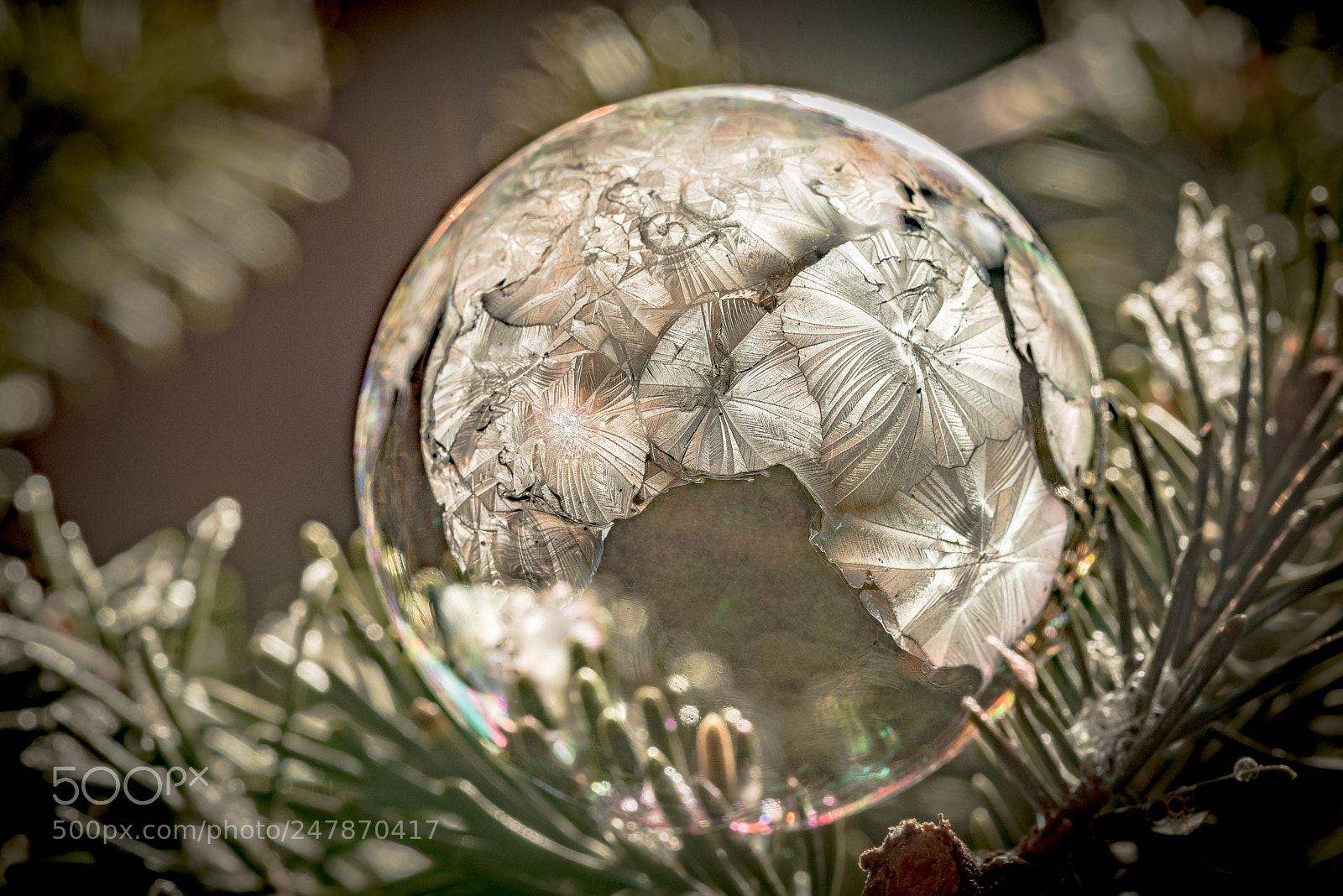 Nikon D800 sample photo. Freezing bubble photography
