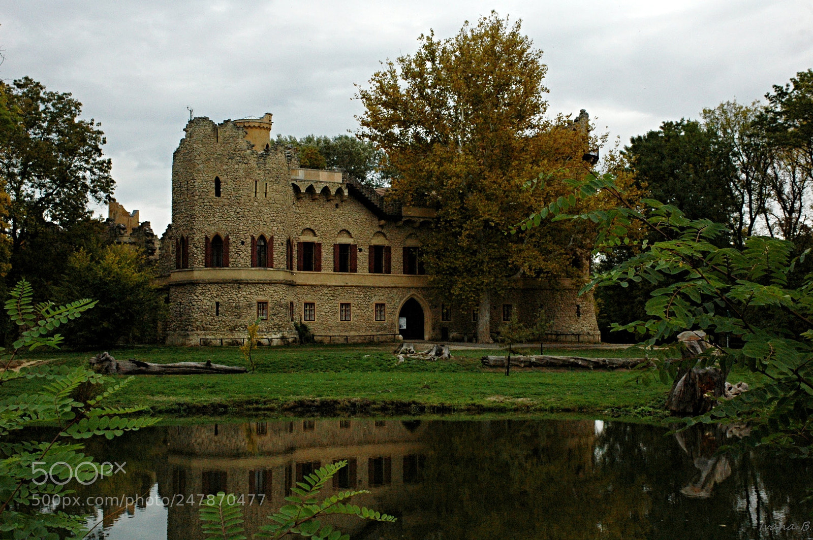 Nikon D70 sample photo. Castello photography