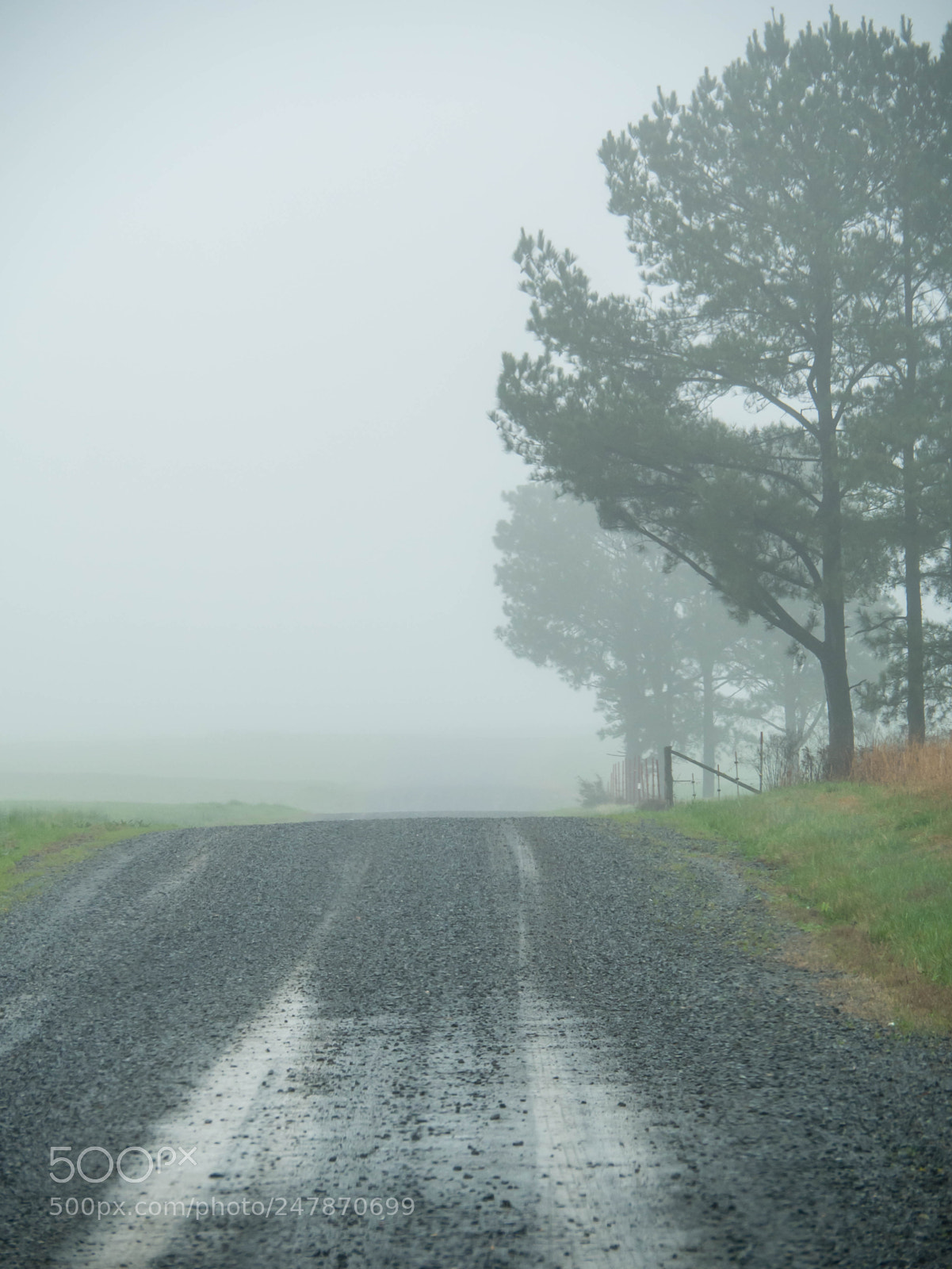 Panasonic Lumix DMC-G85 (Lumix DMC-G80) sample photo. Gravel road into the photography