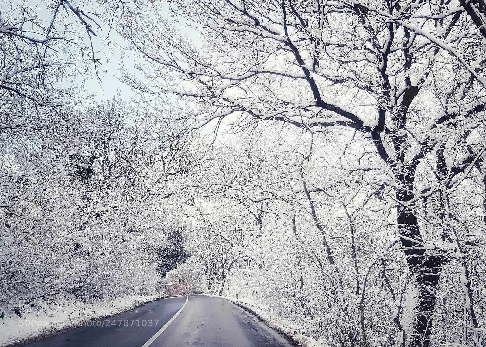 Samsung Galaxy S6 sample photo. Traveling with the snow..... photography