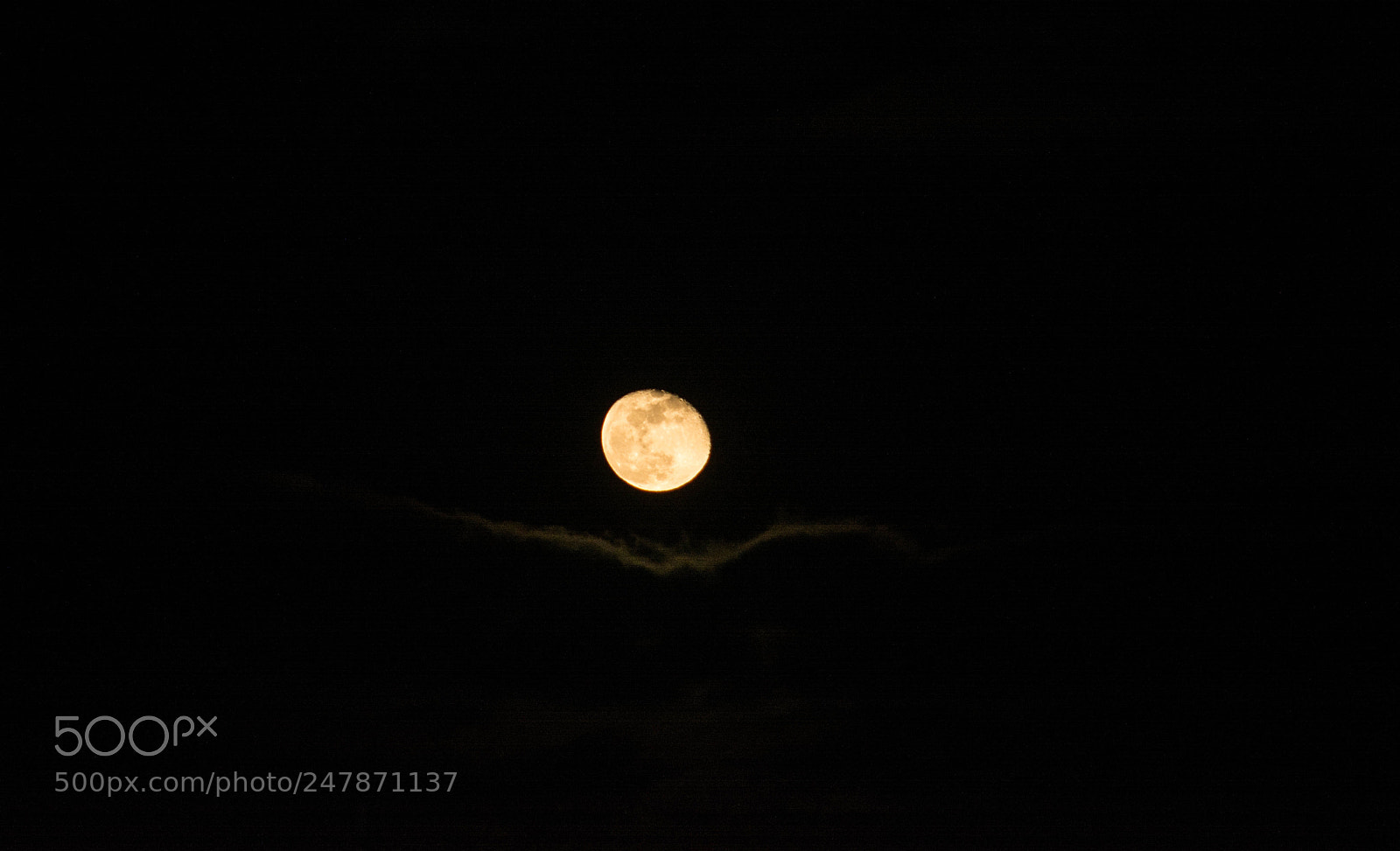 Nikon D7100 sample photo. Moonlight photography