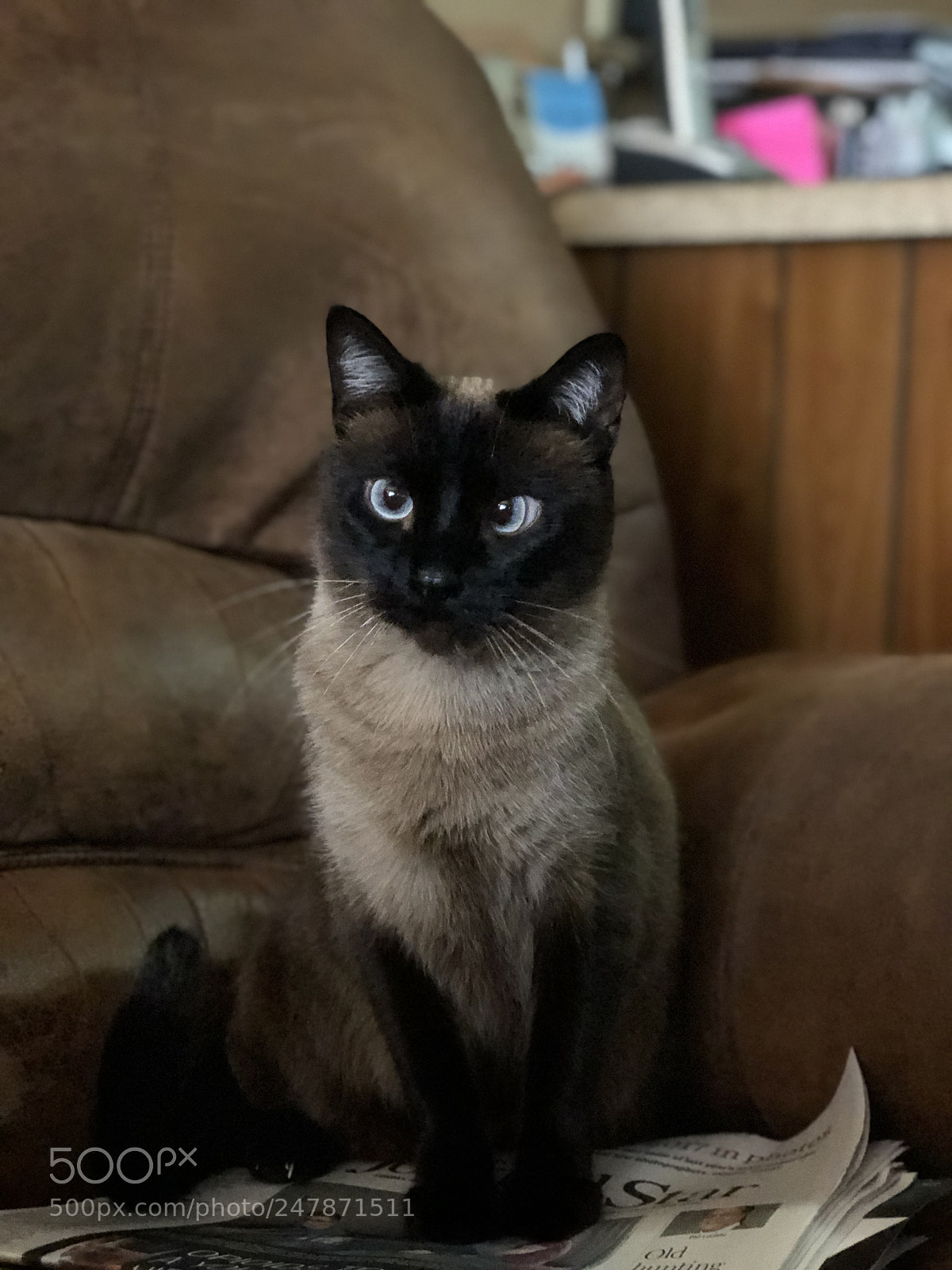 Apple iPhone 8 Plus sample photo. Untitled photography