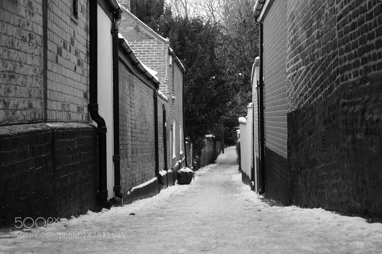 Fujifilm X-T20 sample photo. Duck lane photography