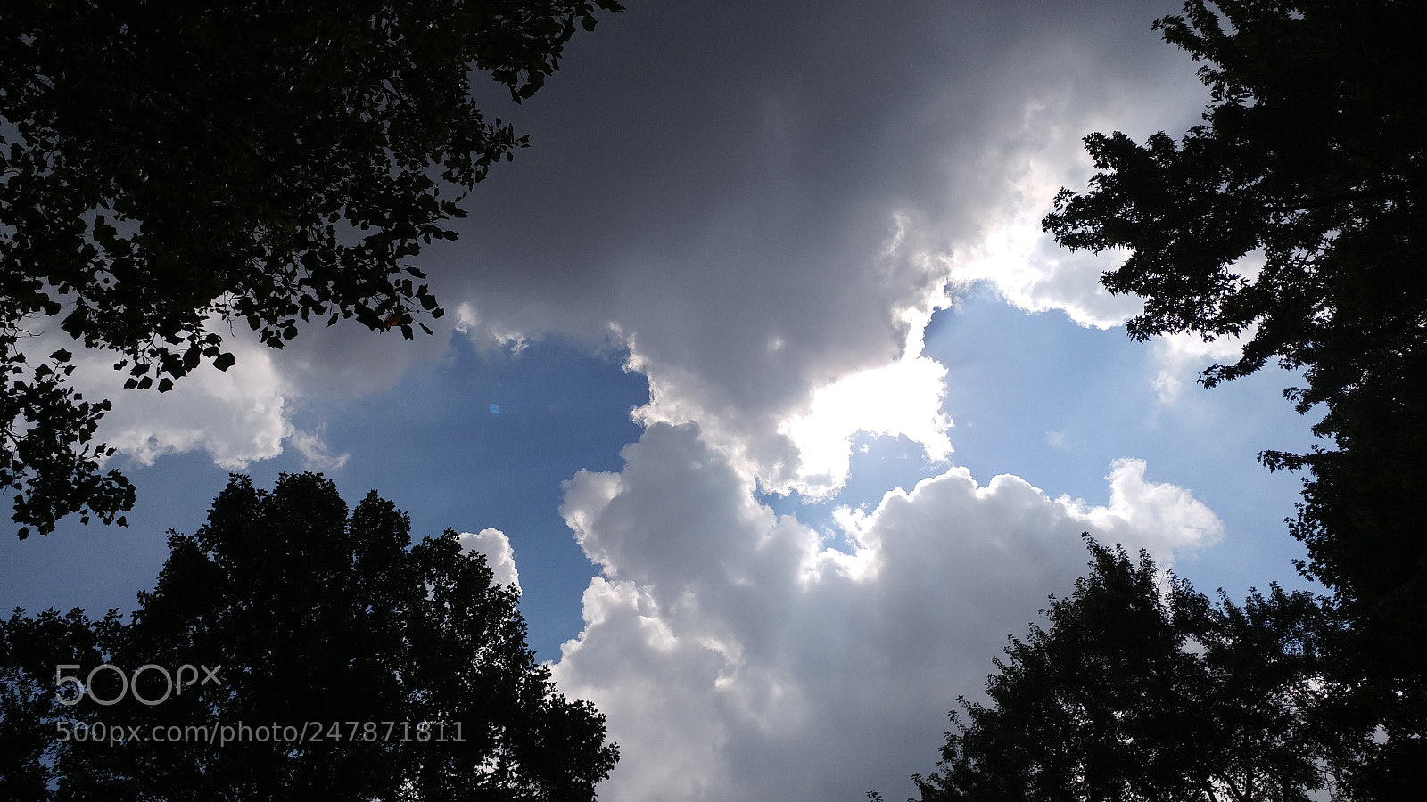 LG G5 sample photo. After - picnic view photography
