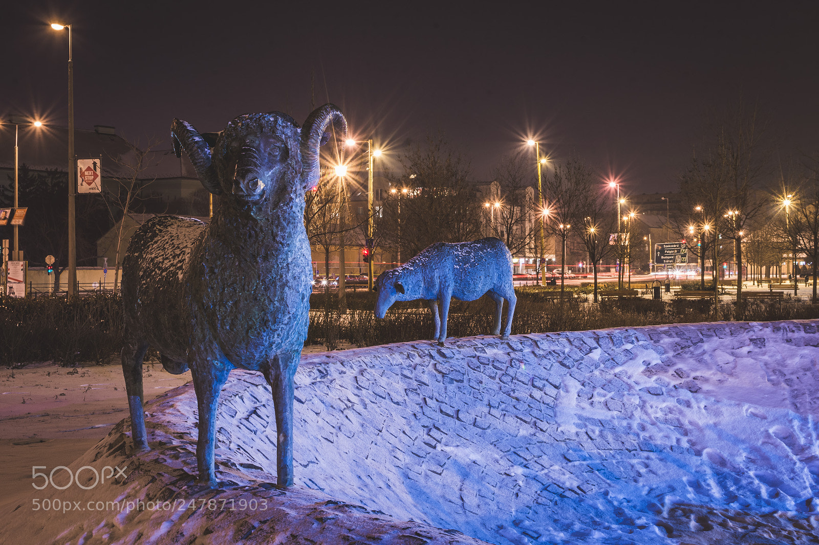 Nikon D7200 sample photo. A cold night in photography