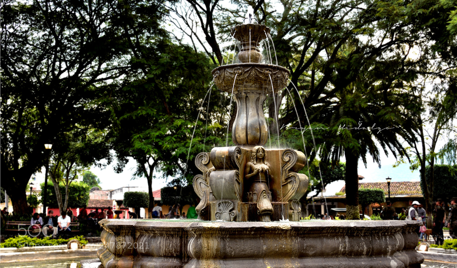 Nikon D3400 sample photo. Untitled photography