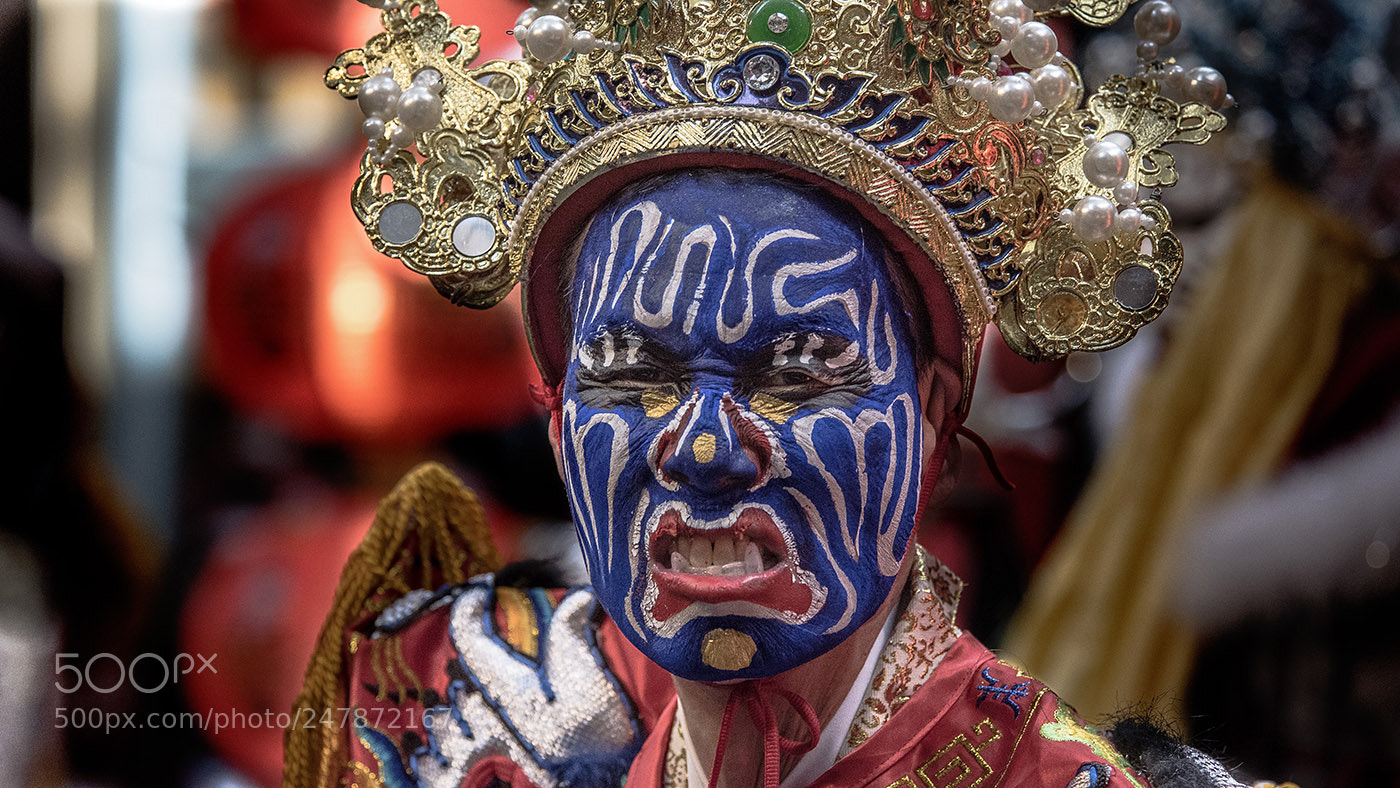 Nikon D810 sample photo. Year of the dog photography
