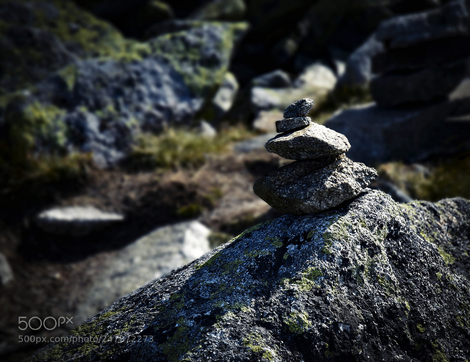 Nikon D5500 sample photo. Tourist sign with stones photography