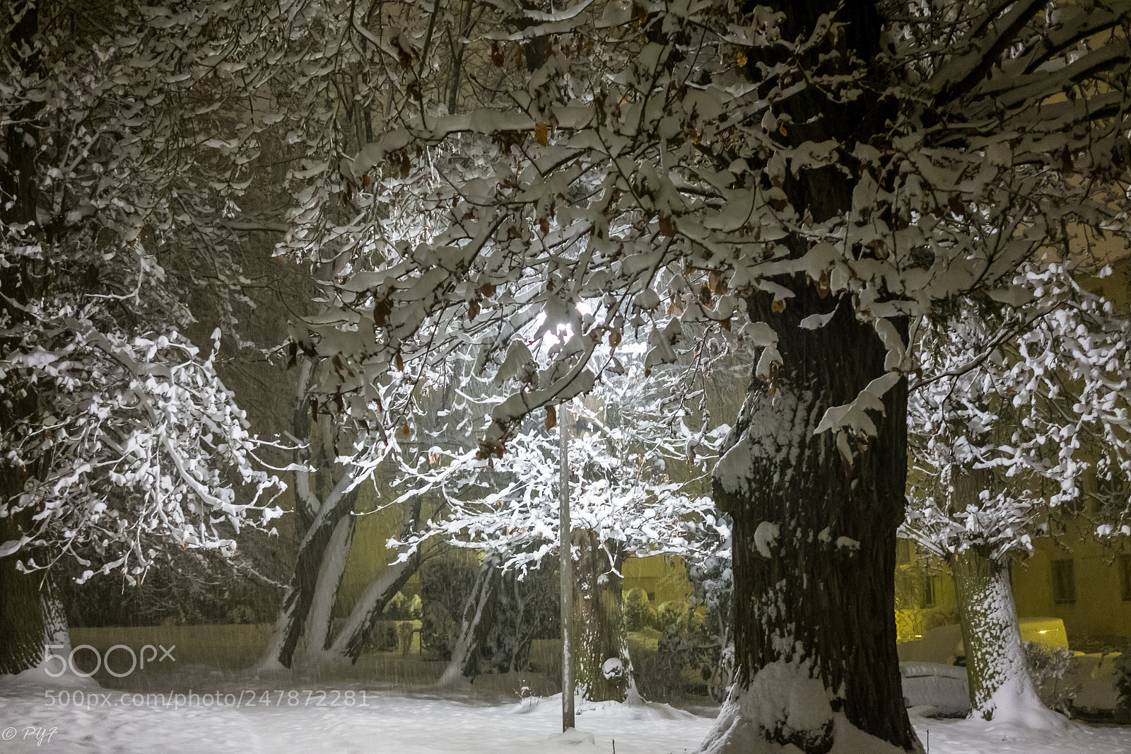 Fujifilm X-M1 sample photo. Snow fall and wind photography