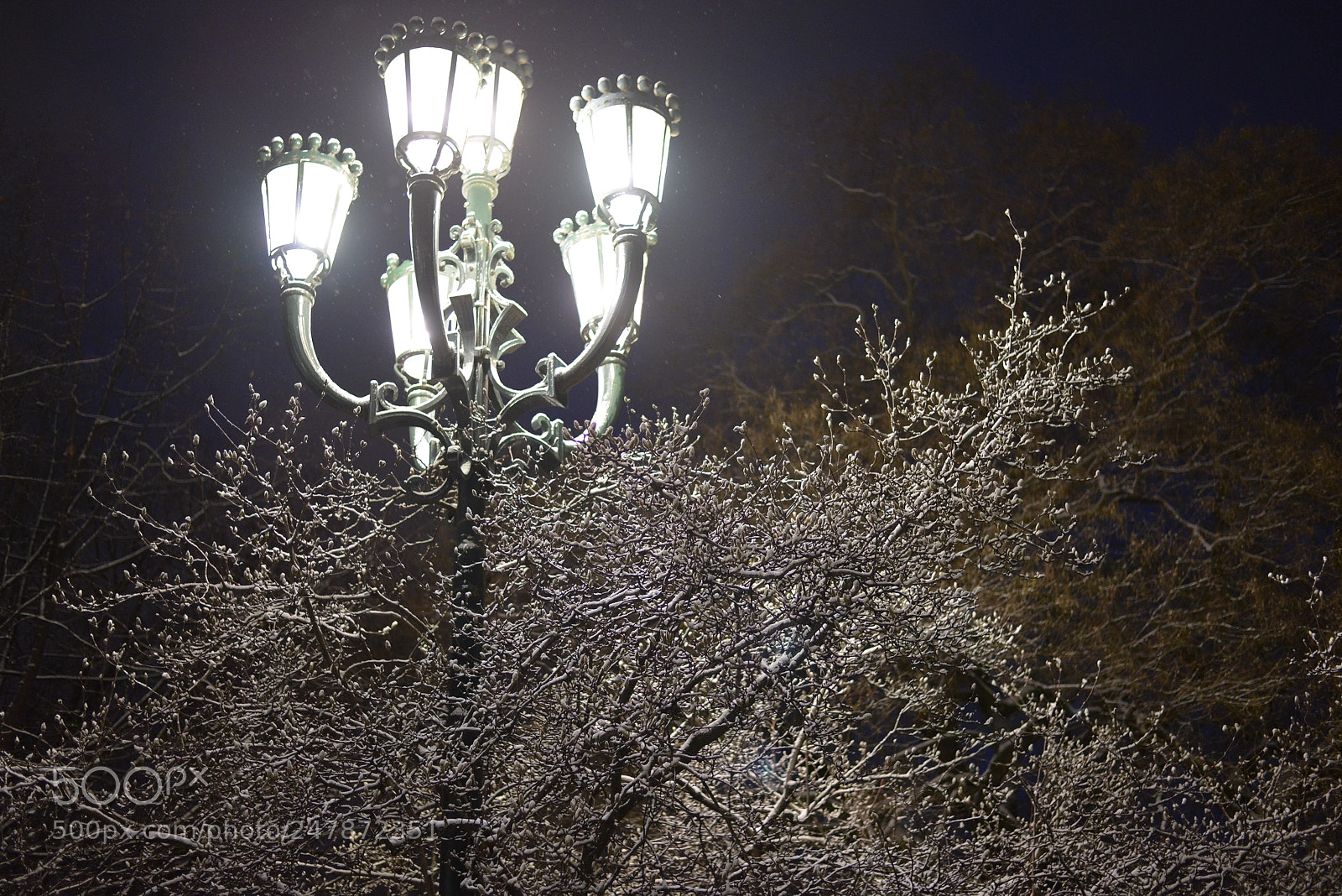 Nikon D800 sample photo. Untitled photography
