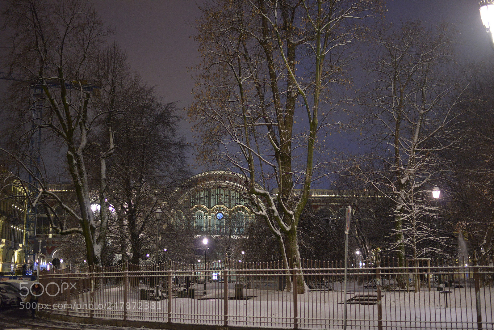 Nikon D800 sample photo. Untitled photography