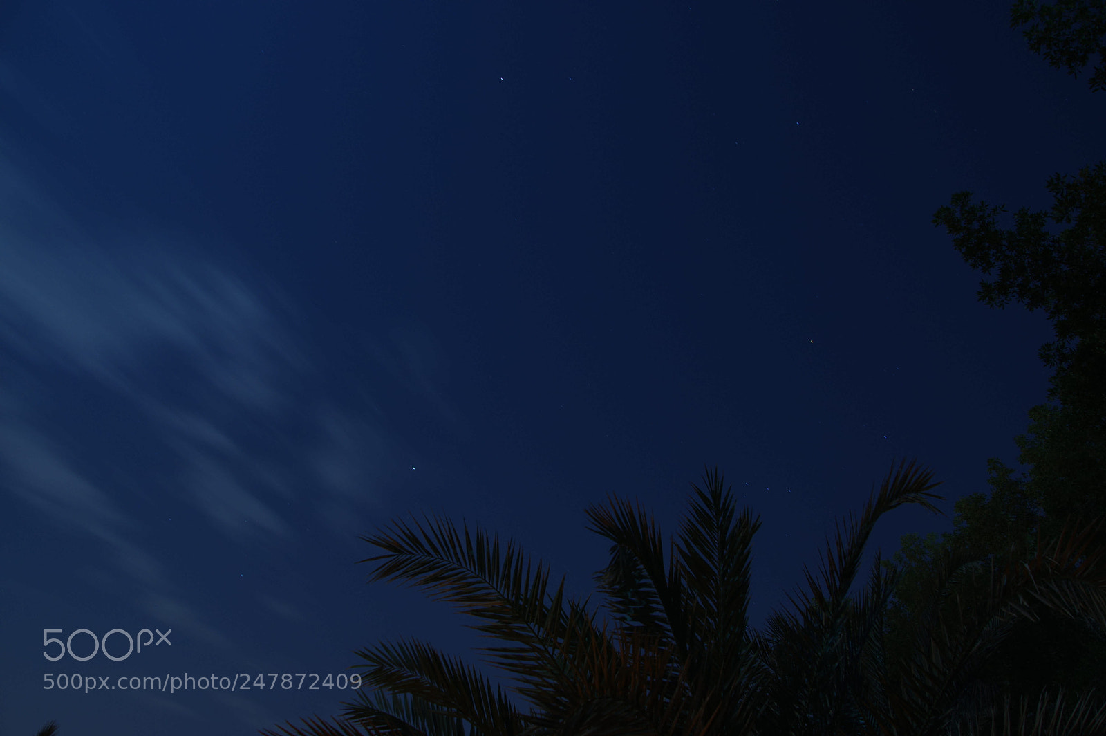 Pentax K-3 sample photo. Untitled photography