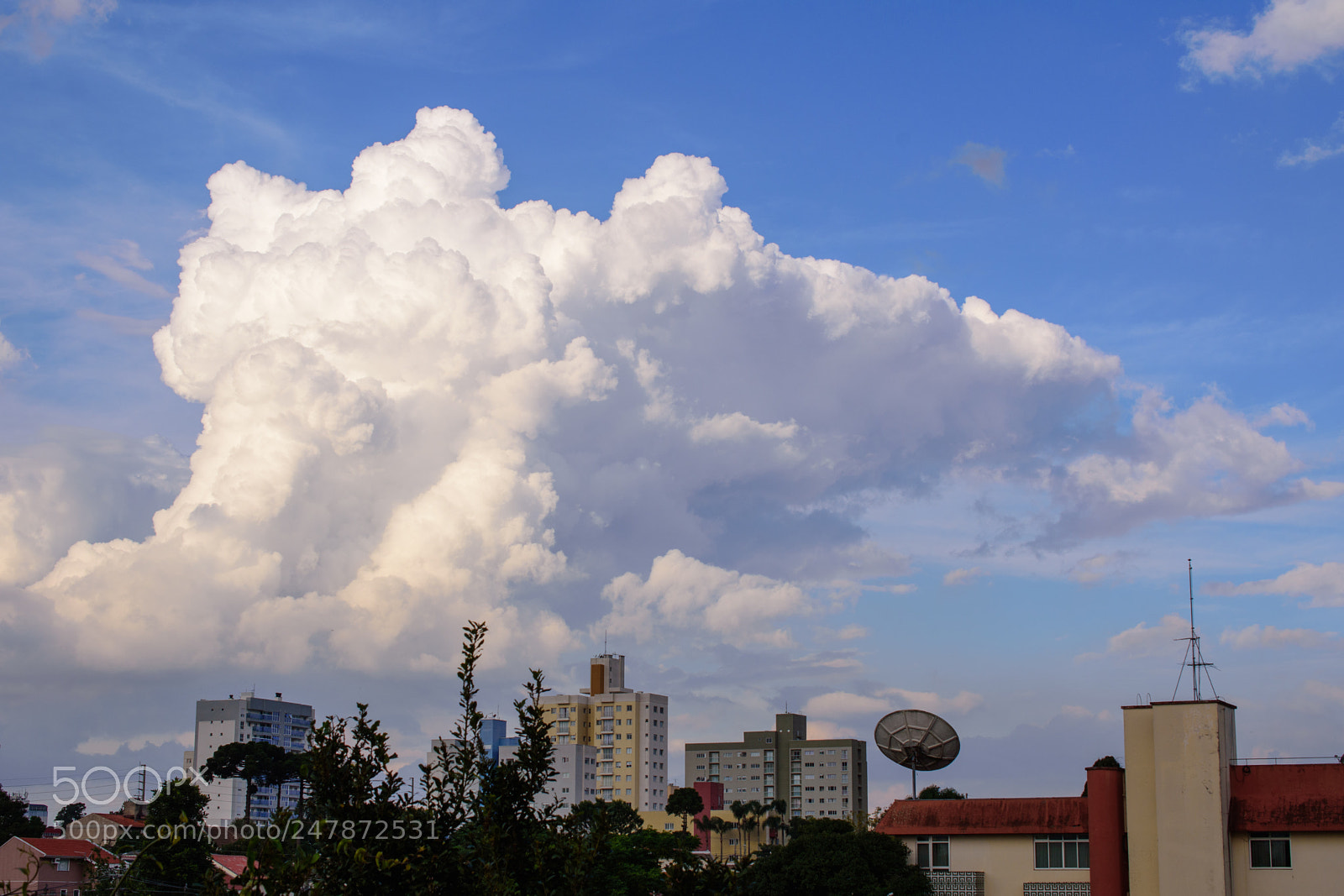 Nikon D7200 sample photo. 01032018-wck_0798.jpg photography
