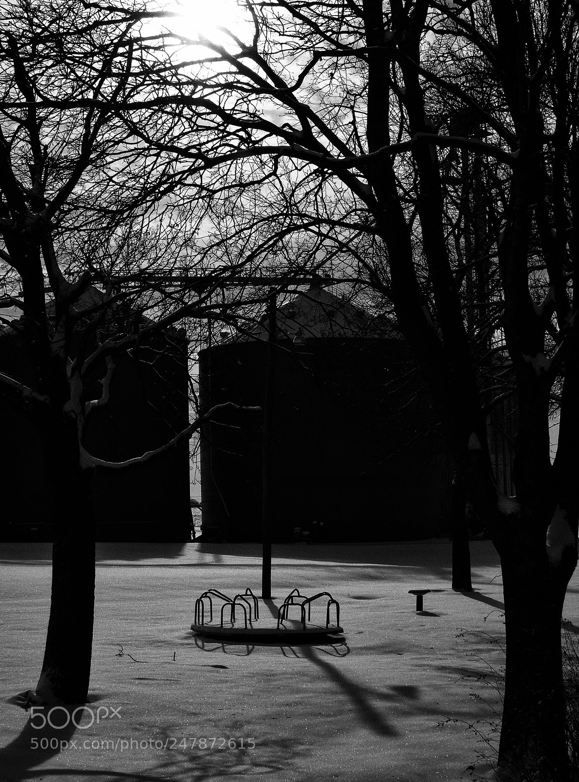 Nikon D2X sample photo. Dark park photography