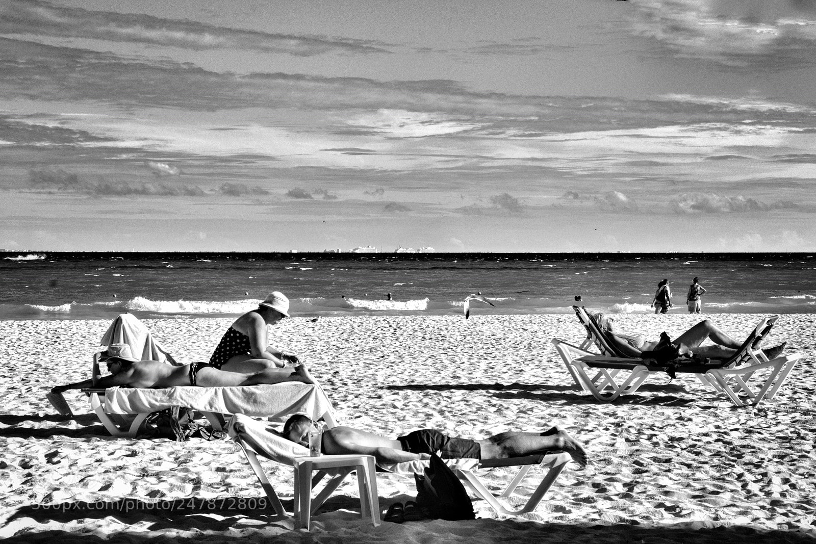 Nikon D3100 sample photo. Untitled photography