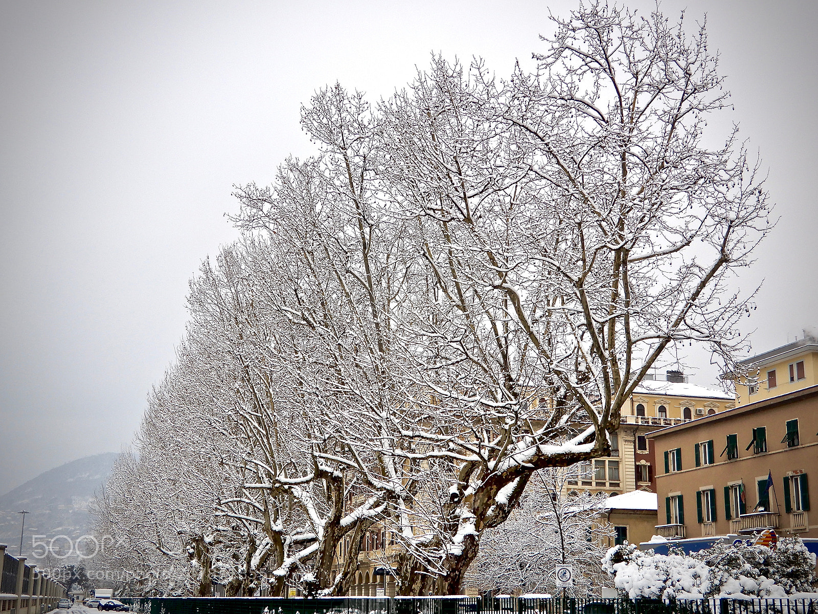 Nikon Coolpix A900 sample photo. Winter photography