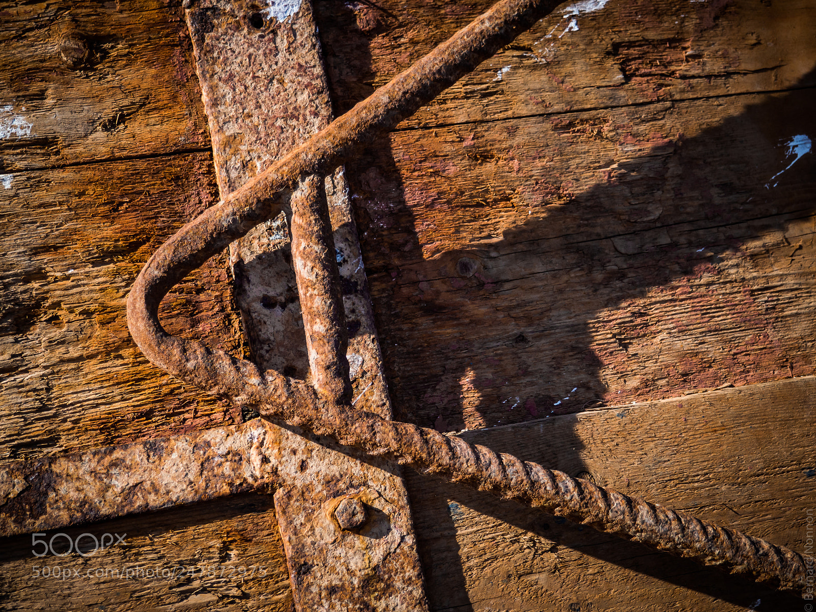Olympus OM-D E-M10 II sample photo. Trawl board photography