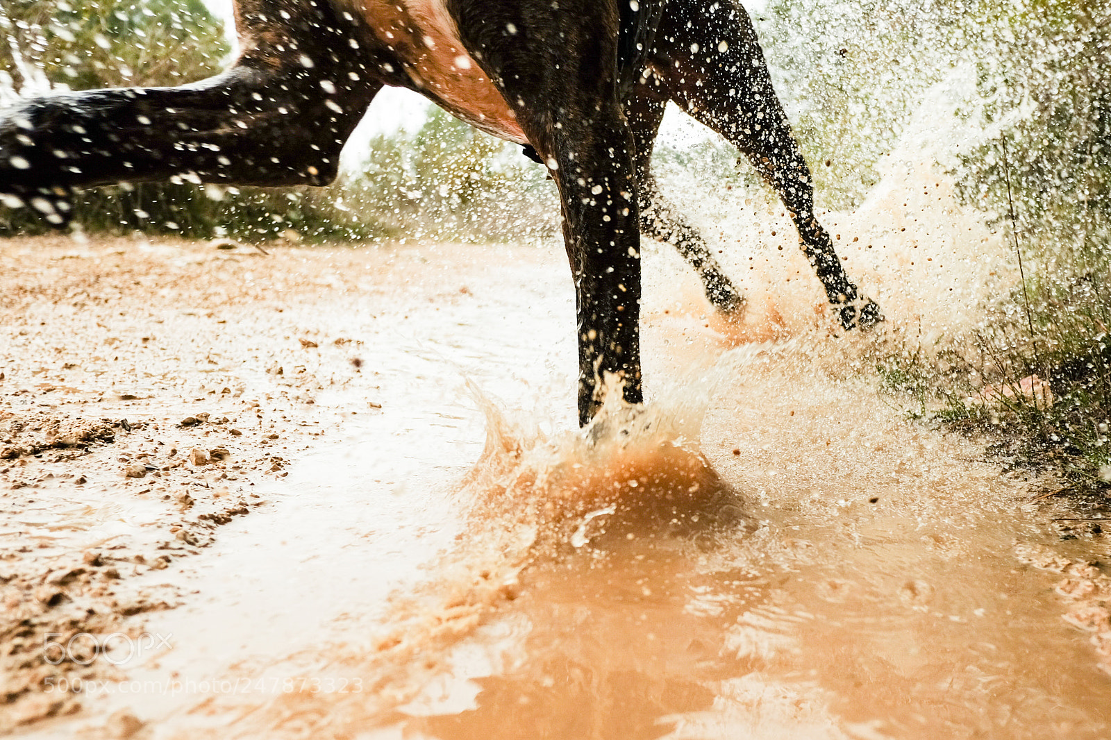 Fujifilm X-T10 sample photo. Splash photography