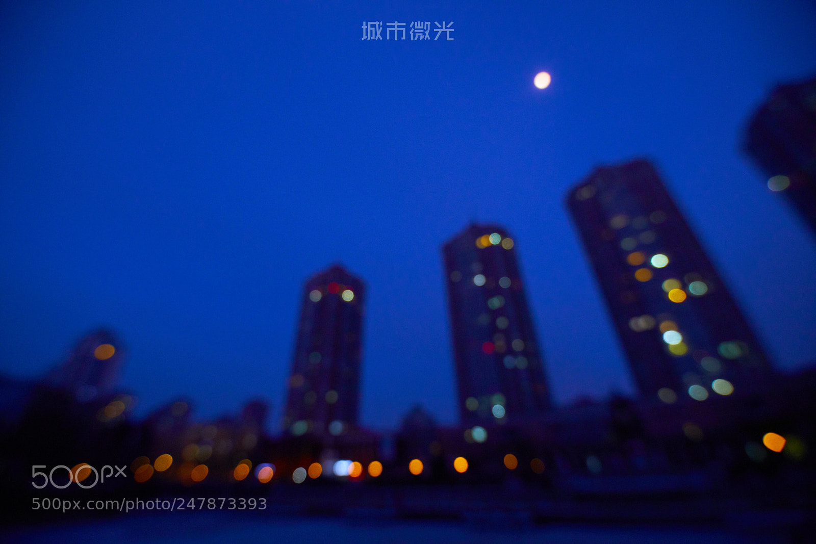 Sony a7R II sample photo. Untitled photography