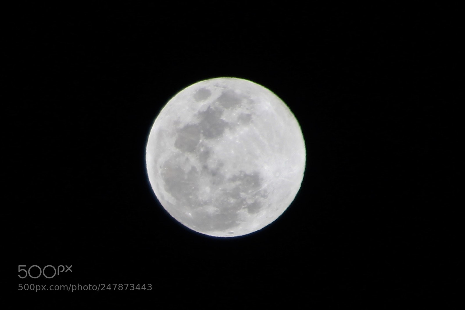 Canon EOS 1300D (EOS Rebel T6 / EOS Kiss X80) sample photo. Full moon photography