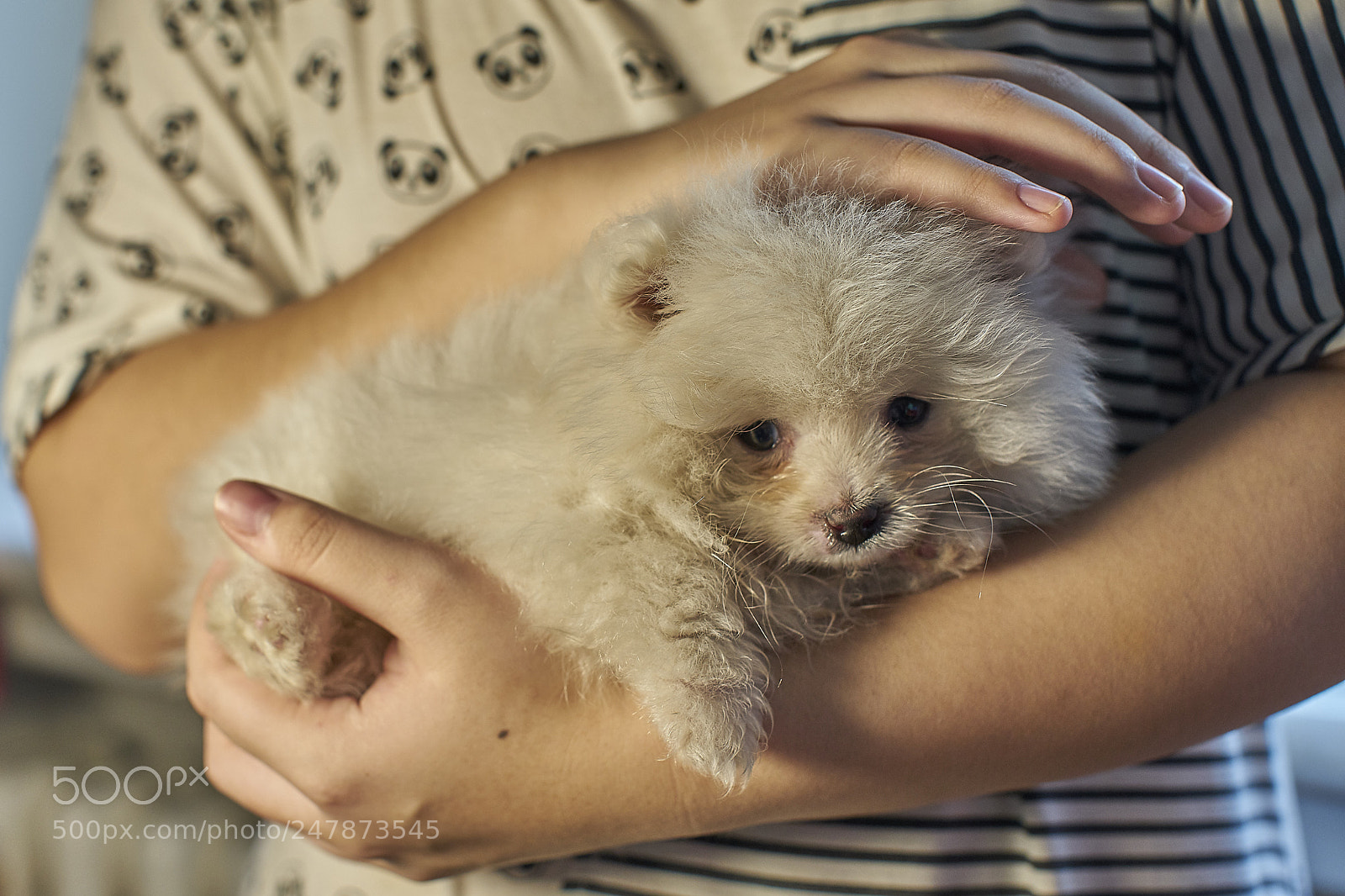 Sony a7R II sample photo. Untitled photography